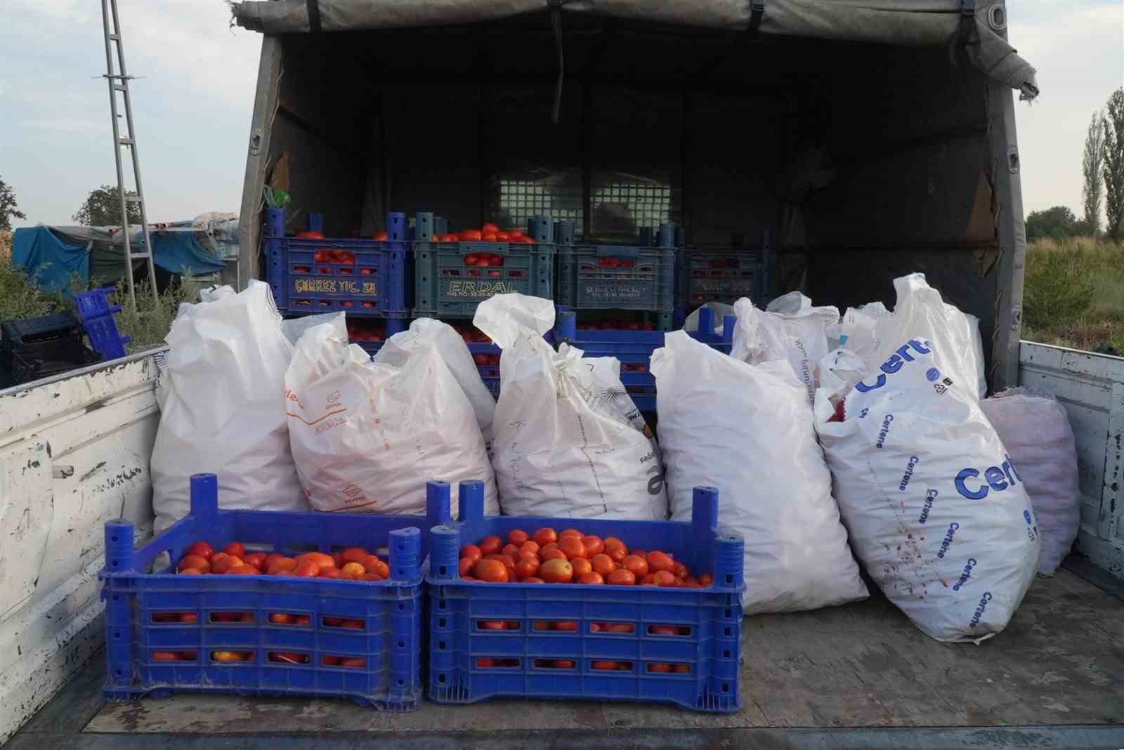 Domatesi tarlada kalan çiftçi, Büyükşehir aracılığıyla ihtiyaç sahiplerine bağışladı
