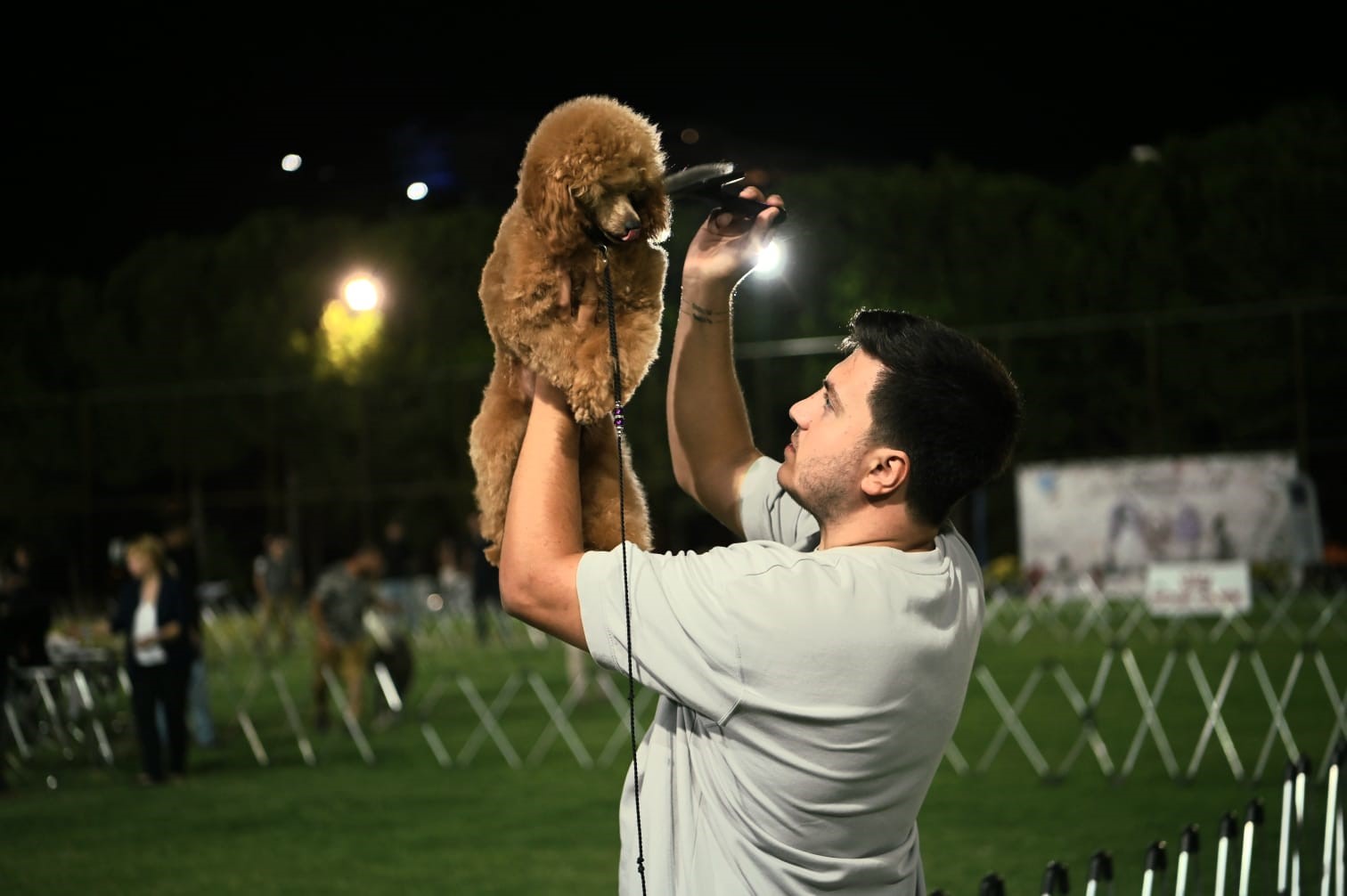 Kuşadası’nda renkli köpek şöleni: ’International Dog Show’ sona erdi
