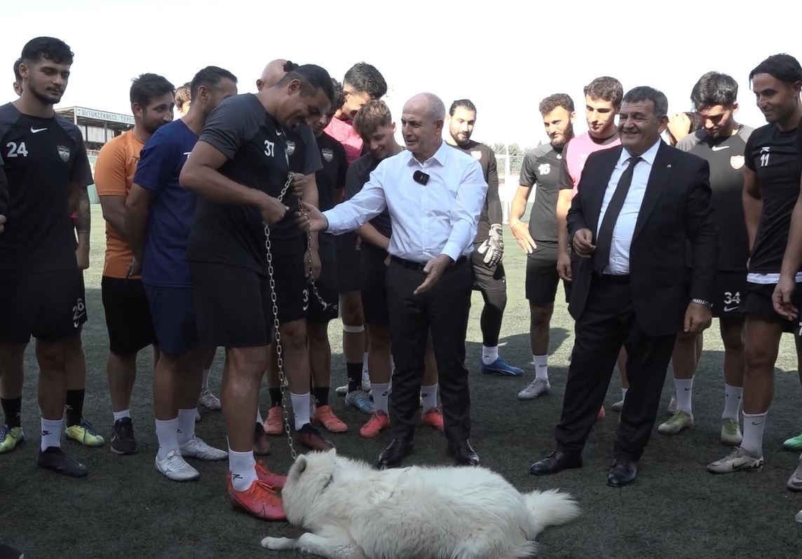 Tepecik Spor’un sahiplendiği sevimli köpek takımın maskotu oldu
