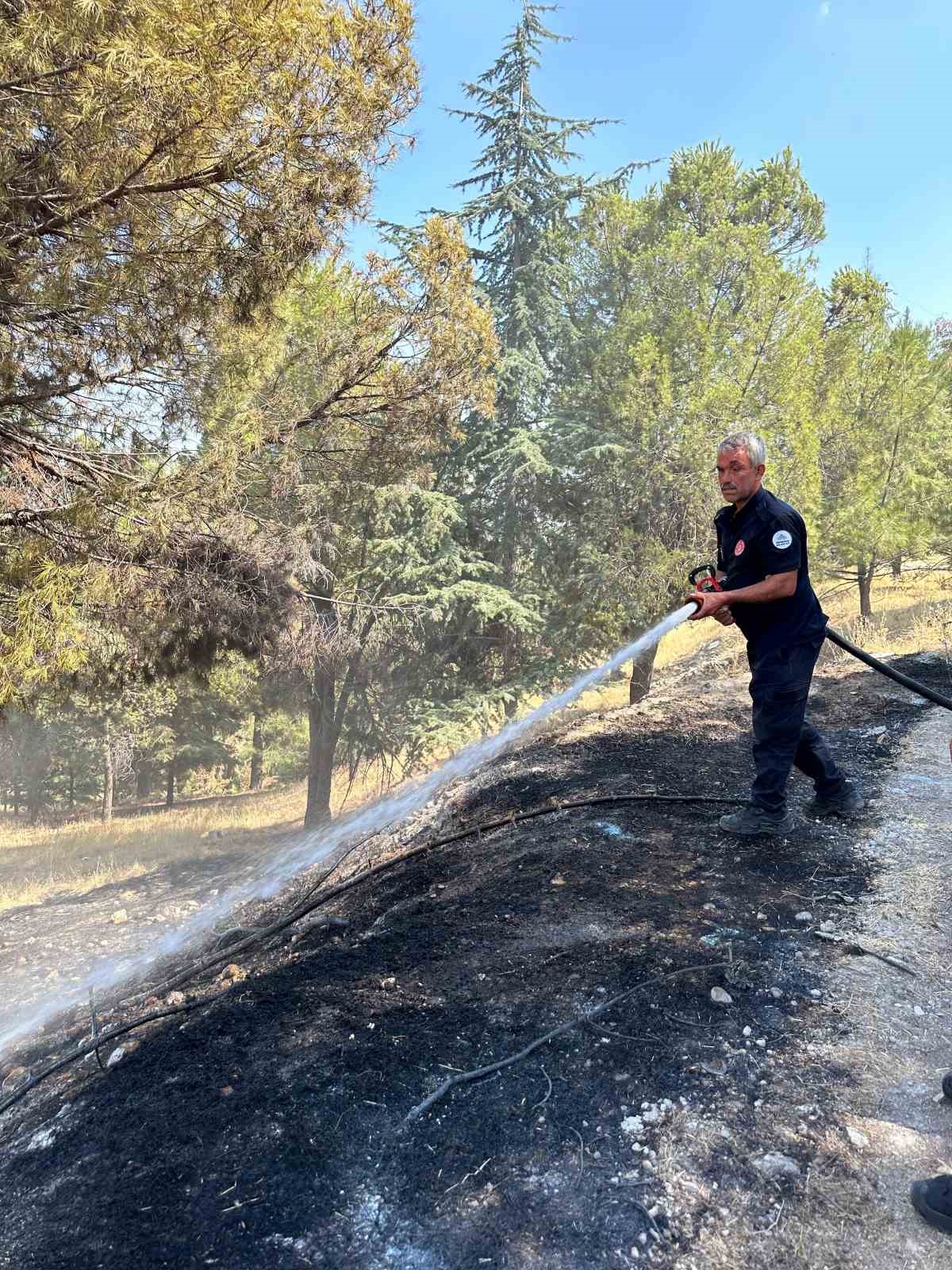 Ağaçlık alanda çıkan yangın konteyner kentte sıçramadan söndürüldü
