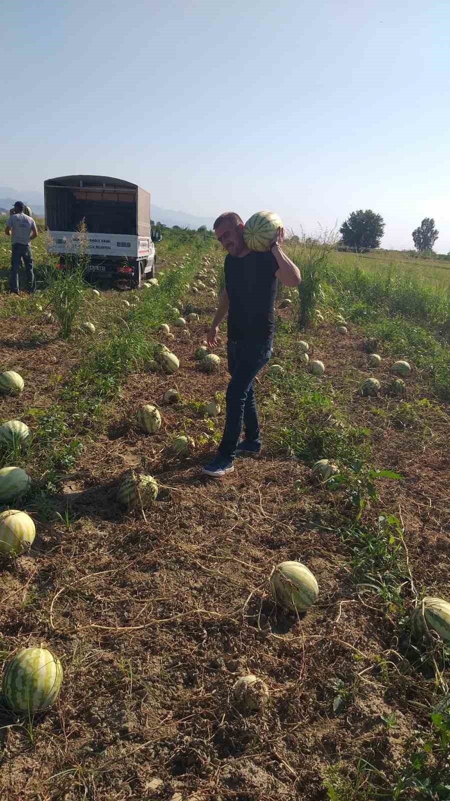 Germencik Belediyesi, vatandaşlara 2 kamyon karpuz dağıttı
