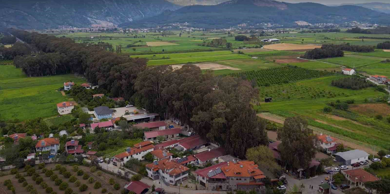 Ula Belediyesinden 53 milyon liralık taşınmaz satış ihalesi
