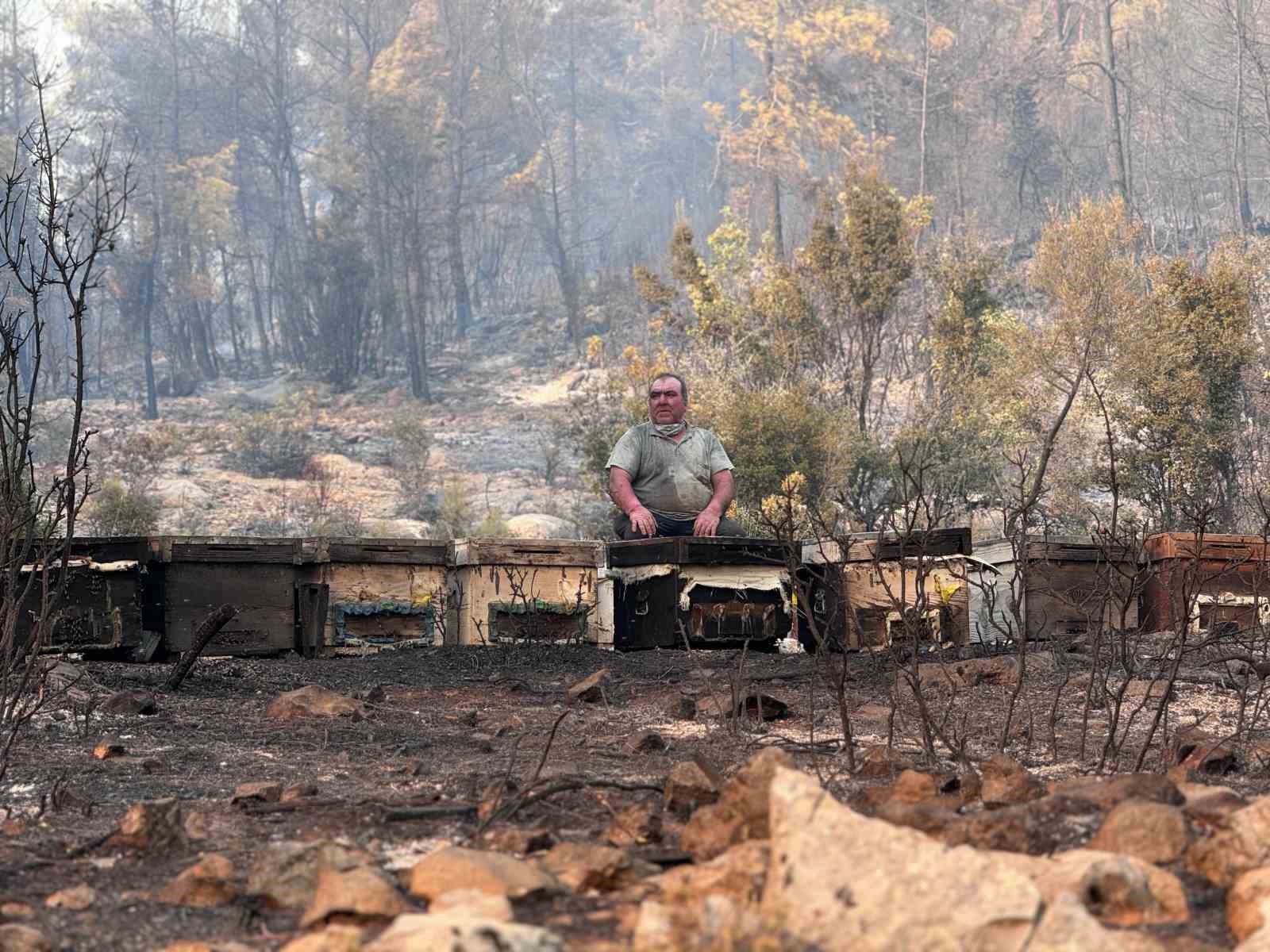 Muğla Büyükşehir’den yangından etkilenen arıcılara destek
