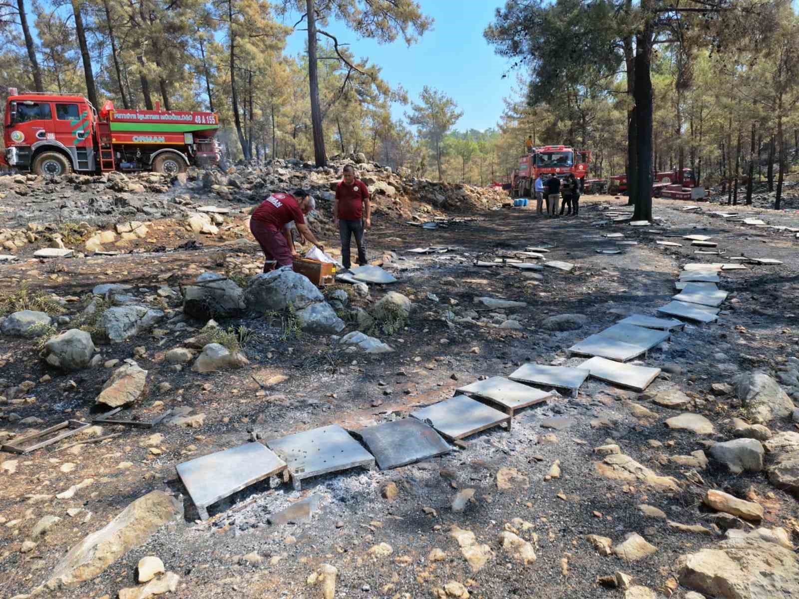 Muğla Büyükşehir’den yangından etkilenen arıcılara destek
