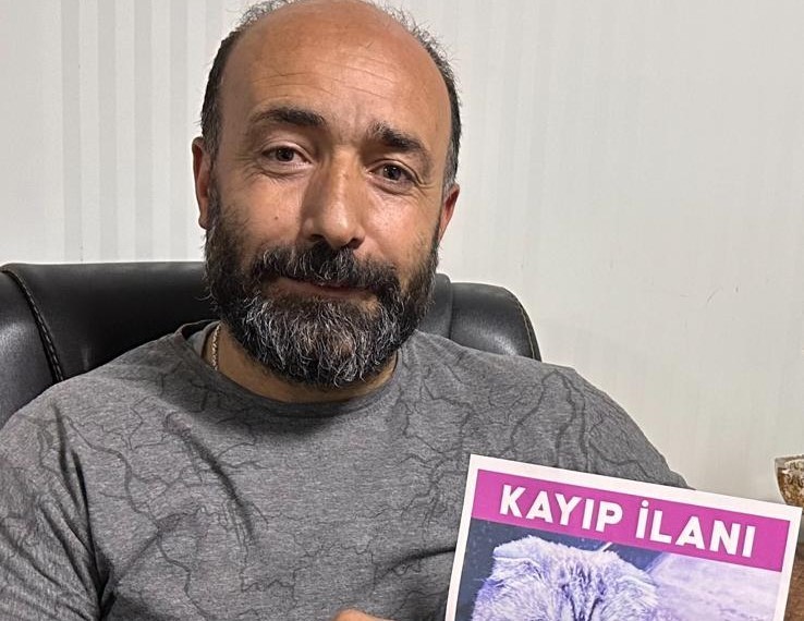 Kayıp kedisini bulunana 15 Bin TL ödül verecek
