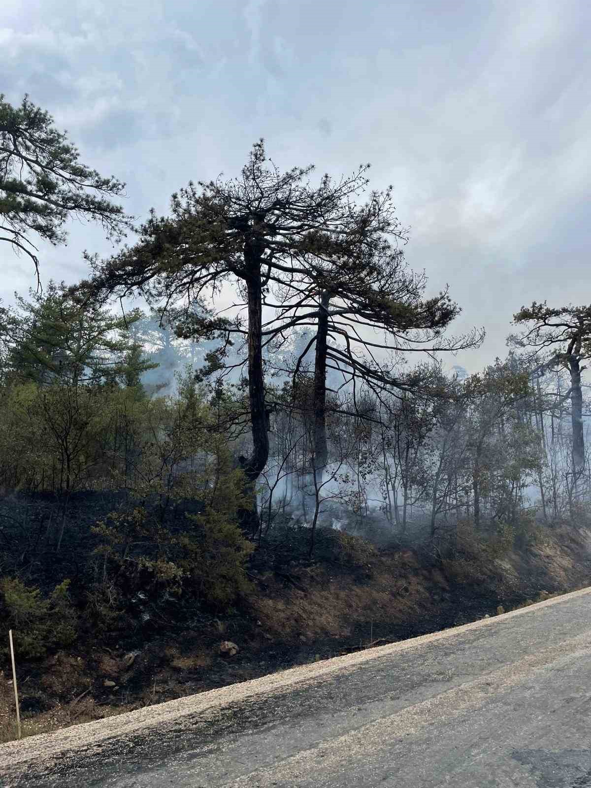 Bolu’daki orman yangını havadan görüntülendi
