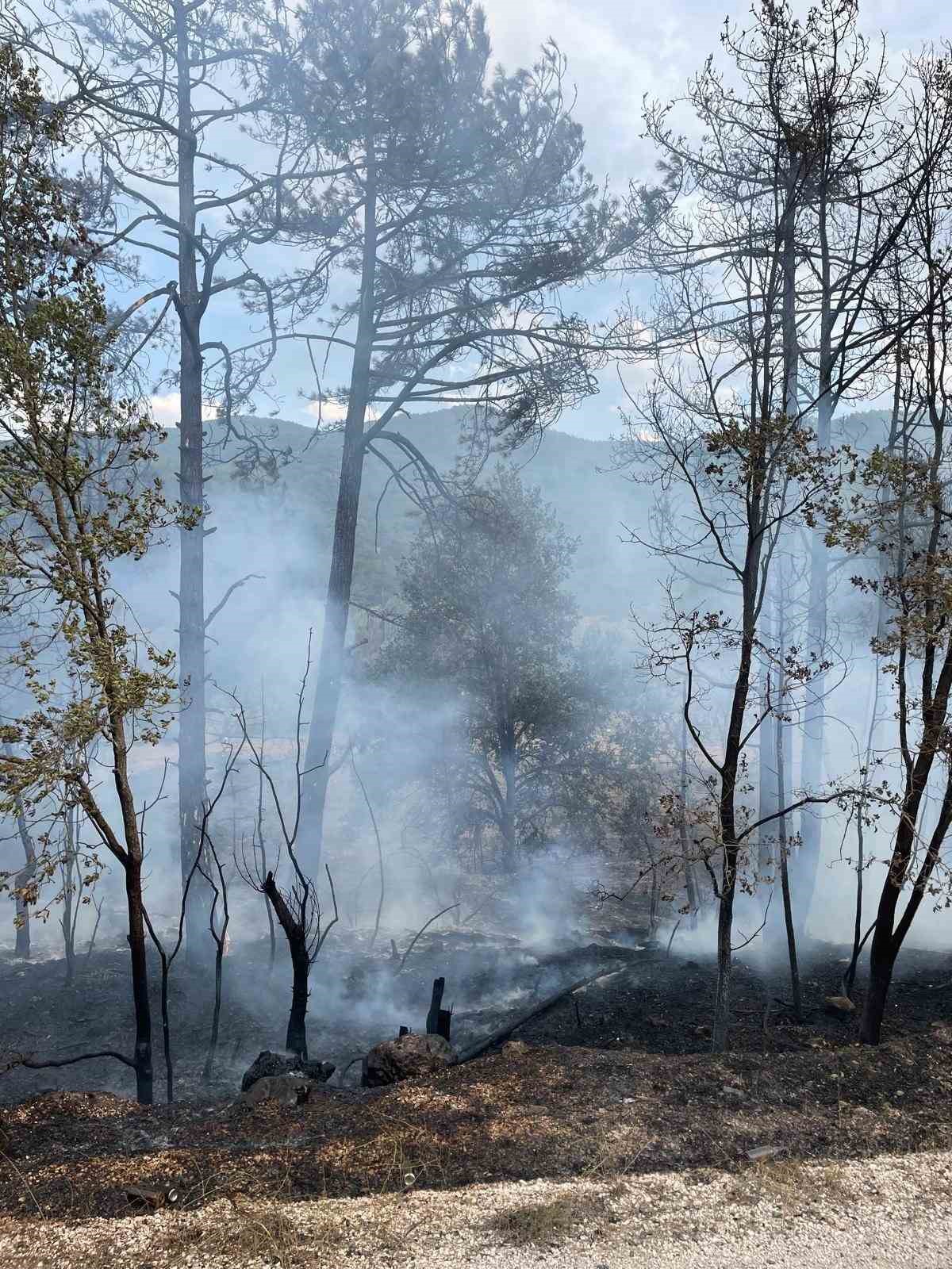 Bolu’daki orman yangını havadan görüntülendi
