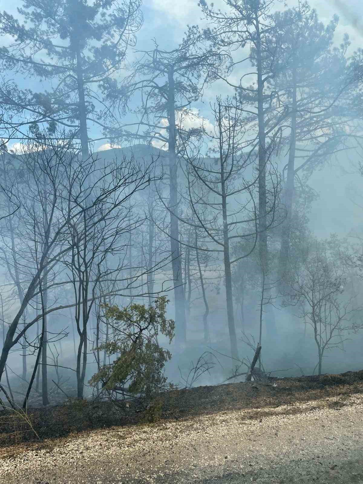 Bolu’daki orman yangını havadan görüntülendi
