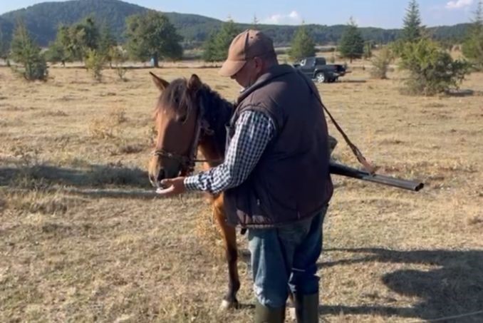 Yabani ağaçlarda yapılan aşılama meyve verimini artırdı
