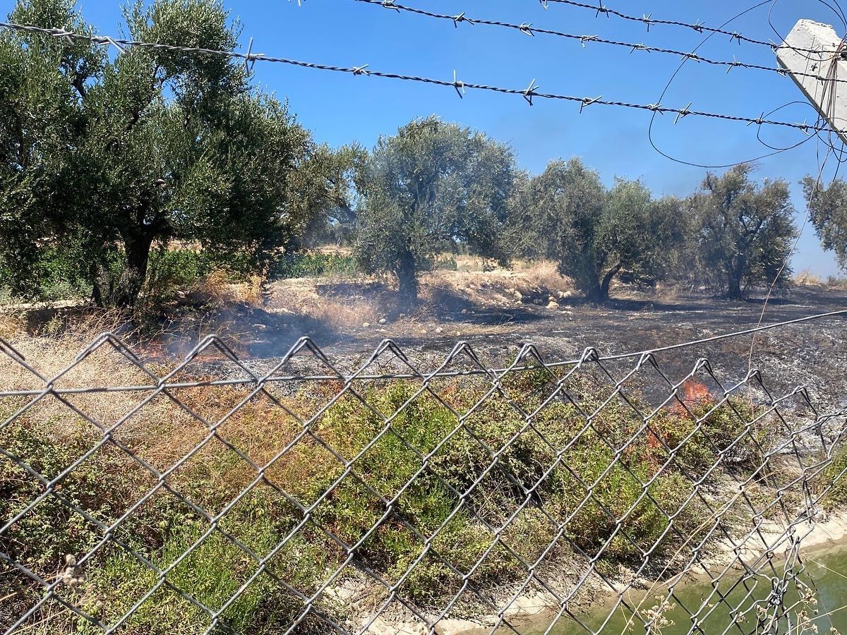 Hatay’da zeytinlik alanda çıkan yangın söndürüldü
