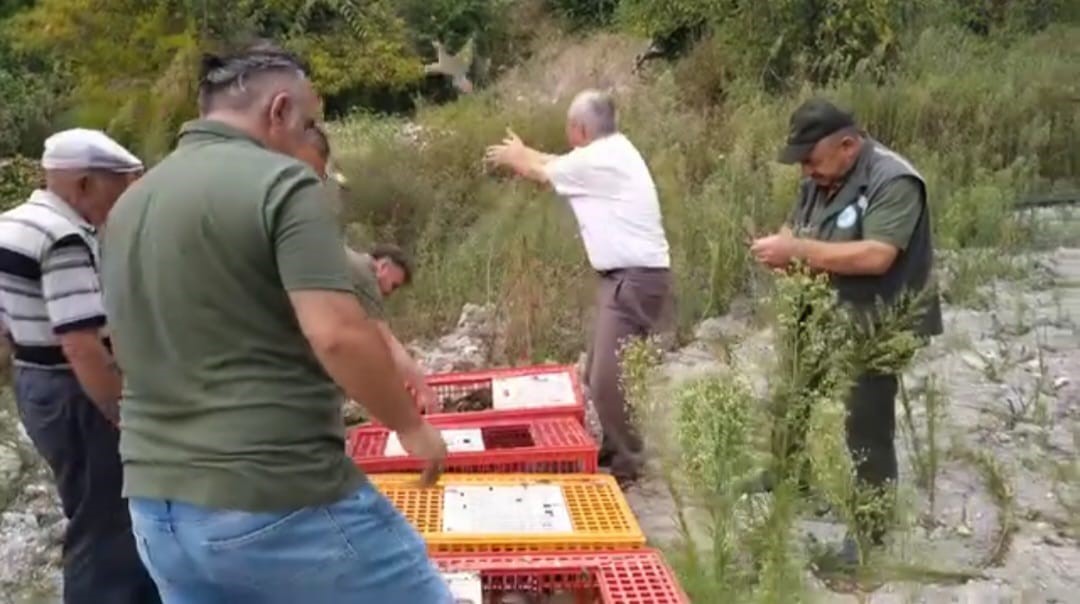 Muğla’da keklikler doğaya salındı
