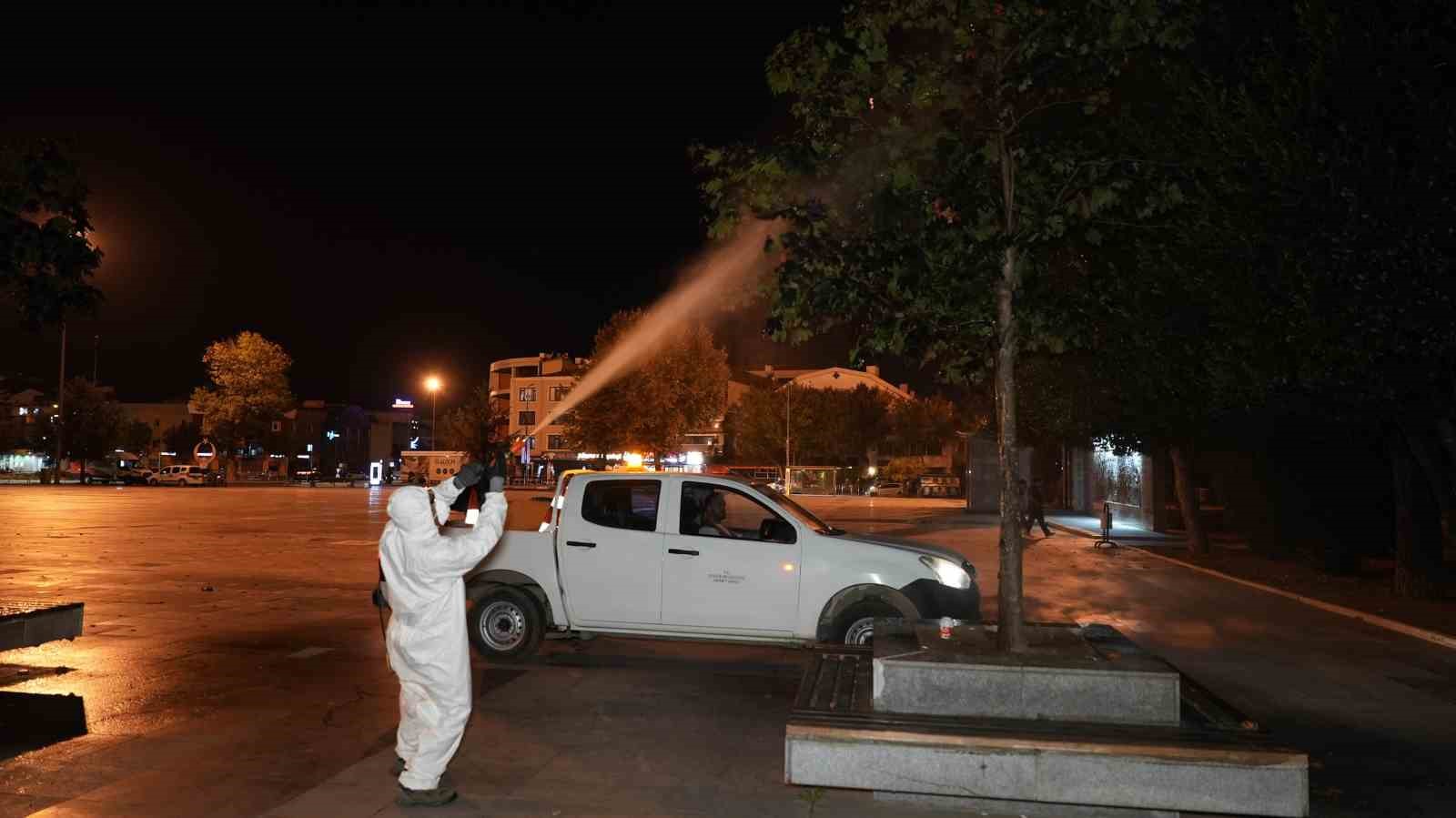 Ağaçlar ilaçlanarak korumaya alındı
