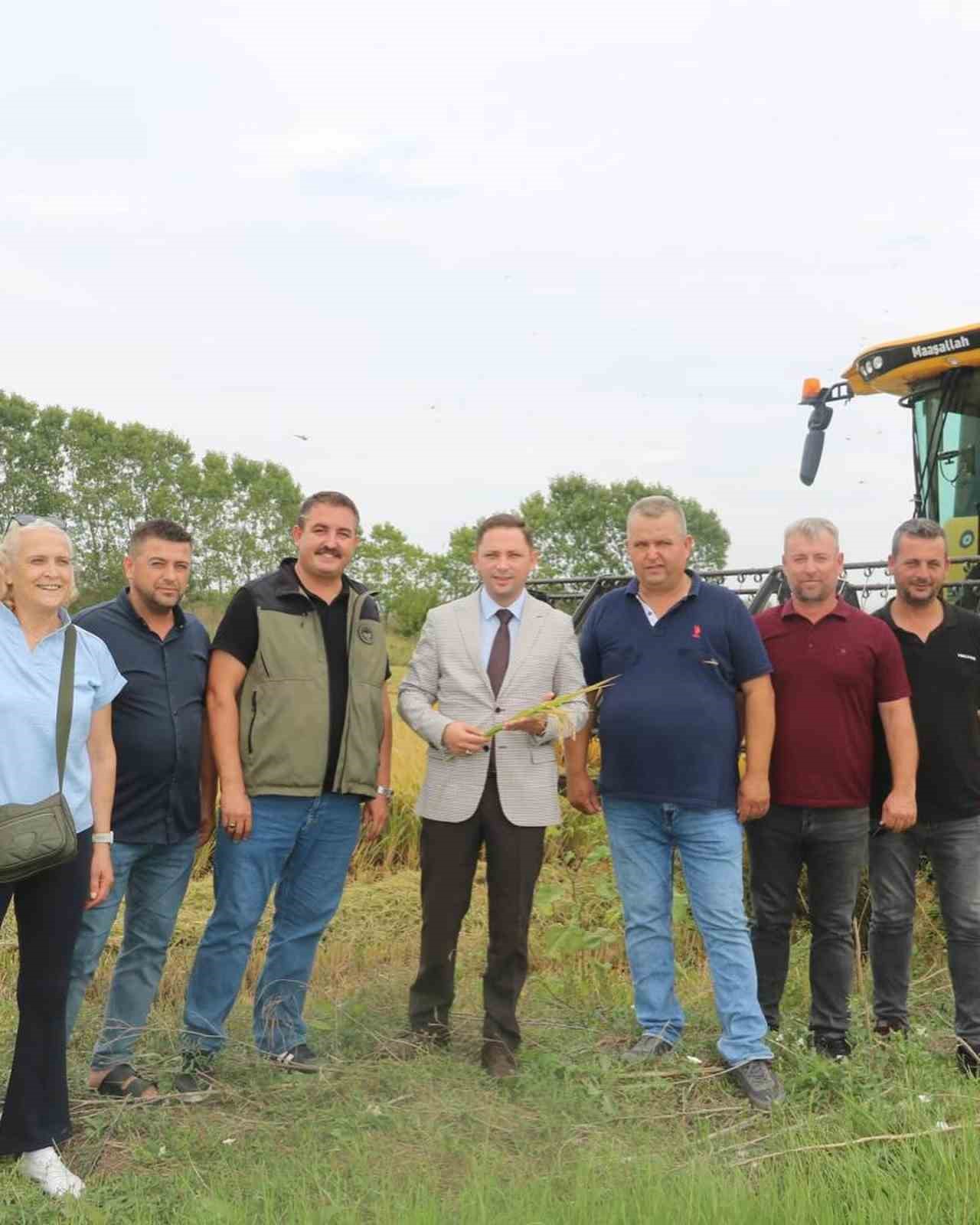 Çanakkale’de ilk çeltik hasadı yapıldı
