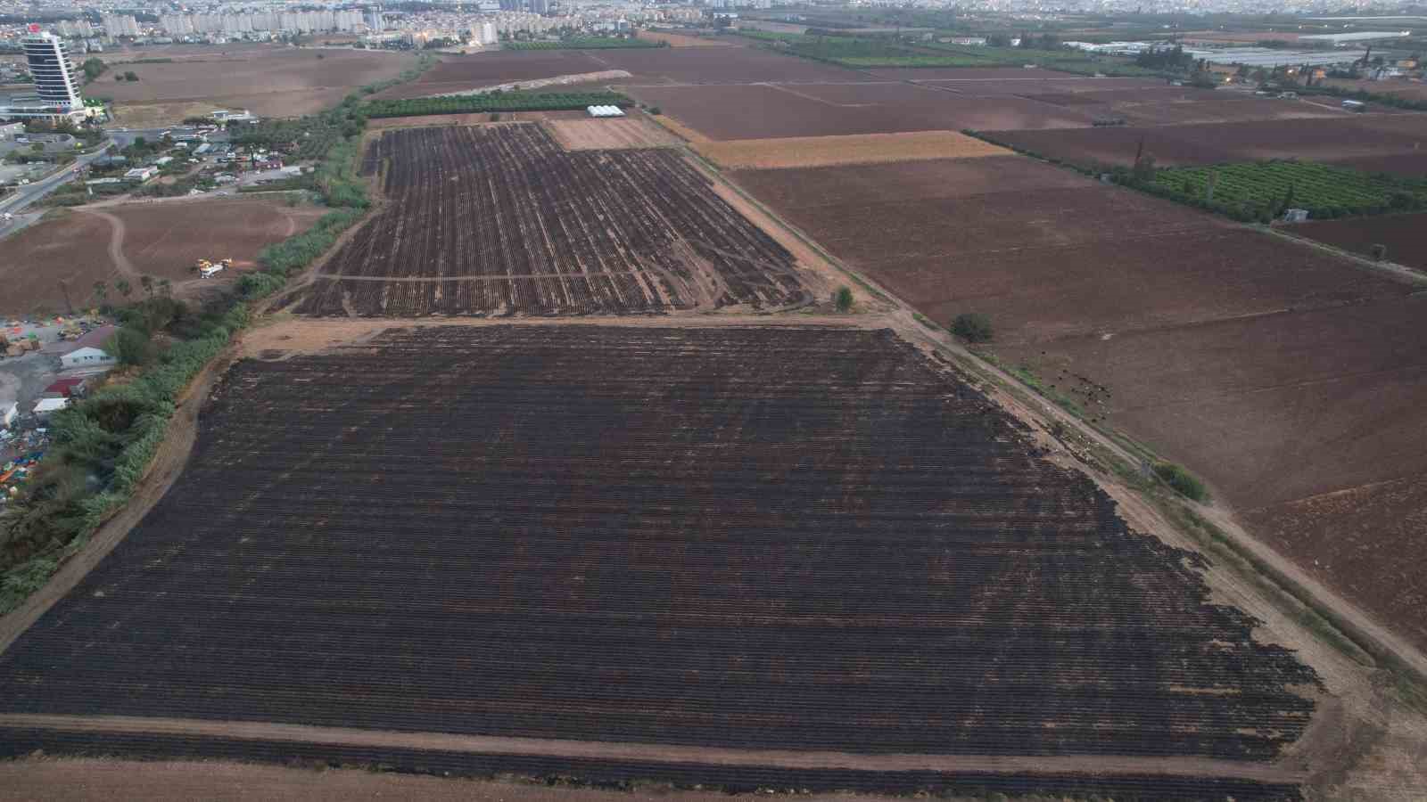 Anız yangını atık deposuna sıçrayınca mahalleler duman altında kaldı
