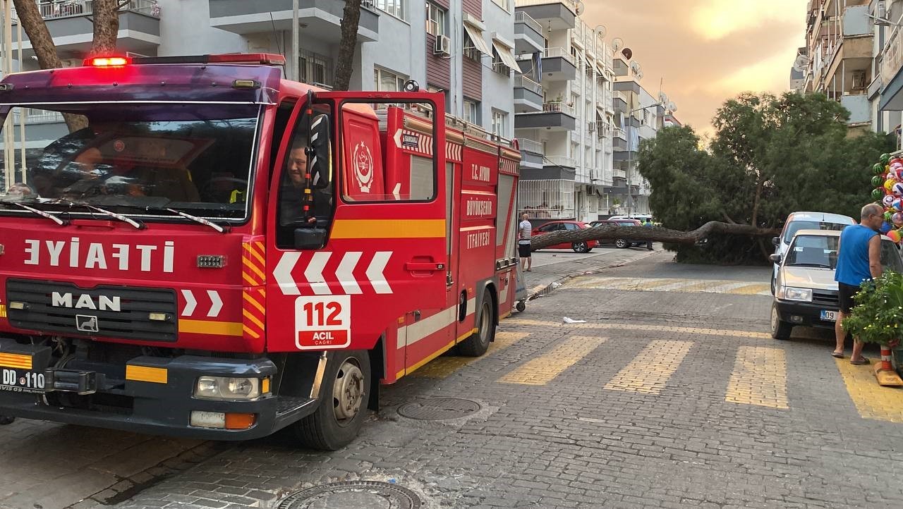 20 metrelik çam ağacı yola devrildi, facianın eşiğinden dönüldü
