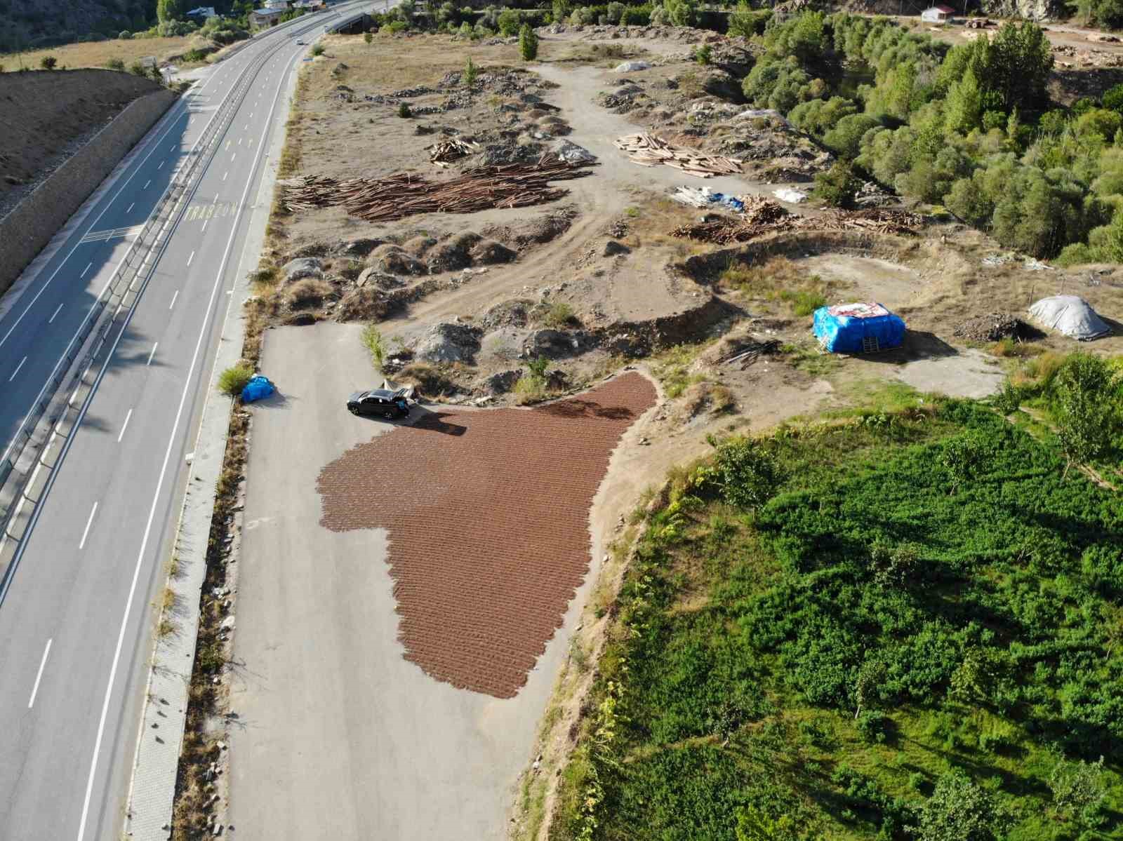 Hasadı tamamlayan üreticiler fındıkları kurutmak için Gümüşhane’yi mesken tuttu
