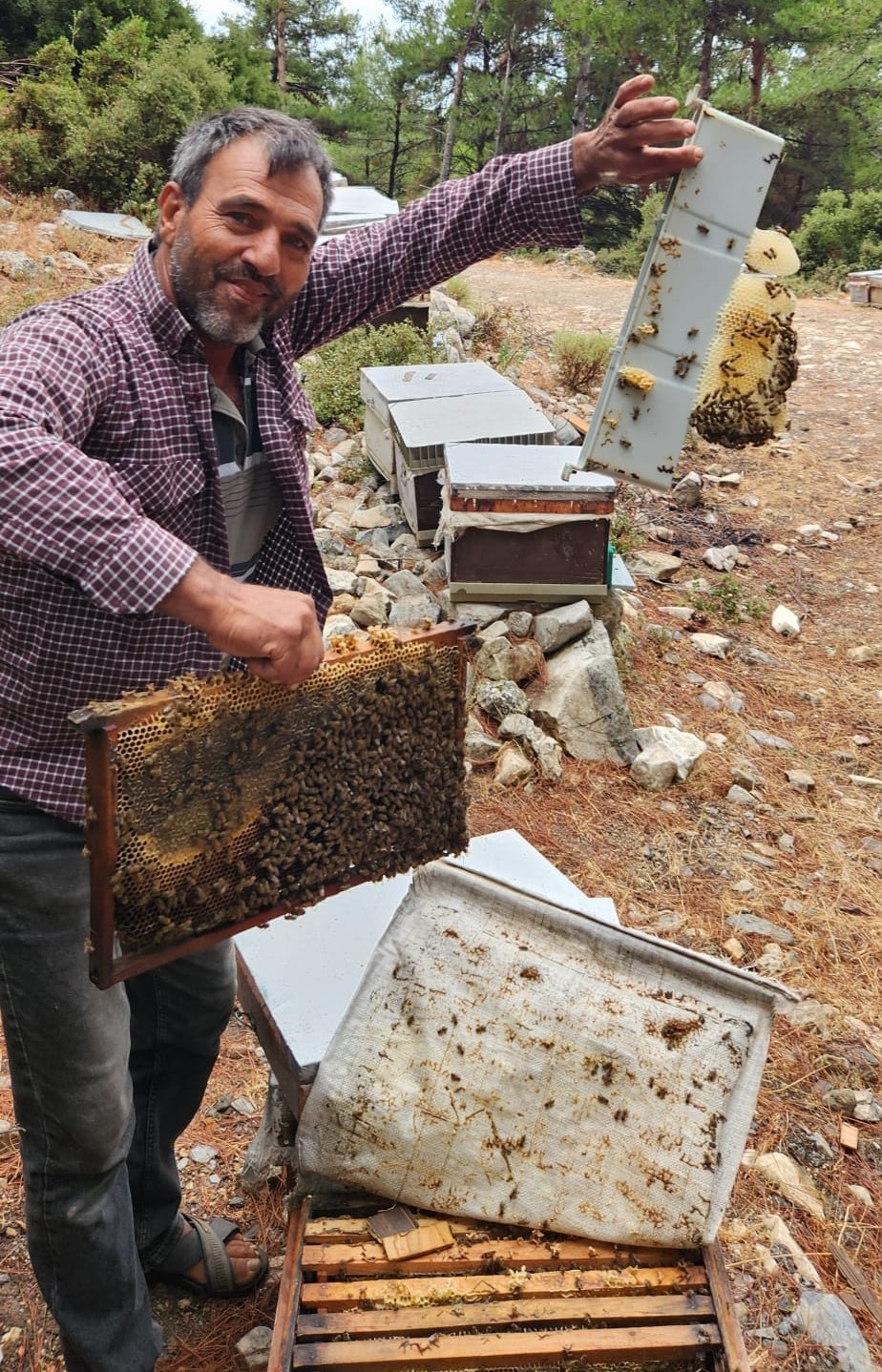 Atburgazı Mahallesi’nde arılı kovan tespiti yapıldı
