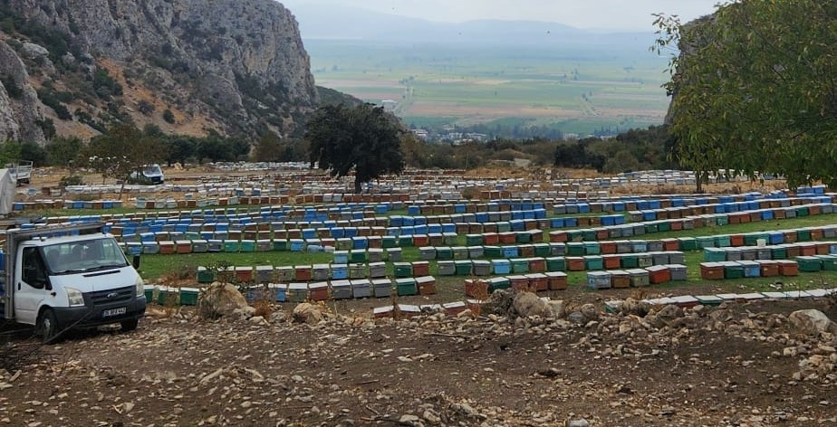 Atburgazı Mahallesi’nde arılı kovan tespiti yapıldı
