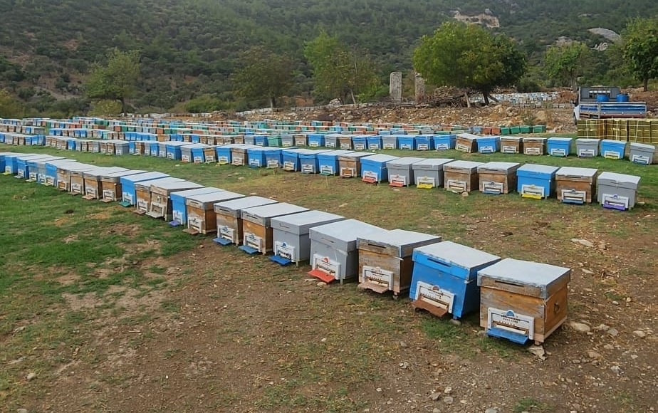 Atburgazı Mahallesi’nde arılı kovan tespiti yapıldı
