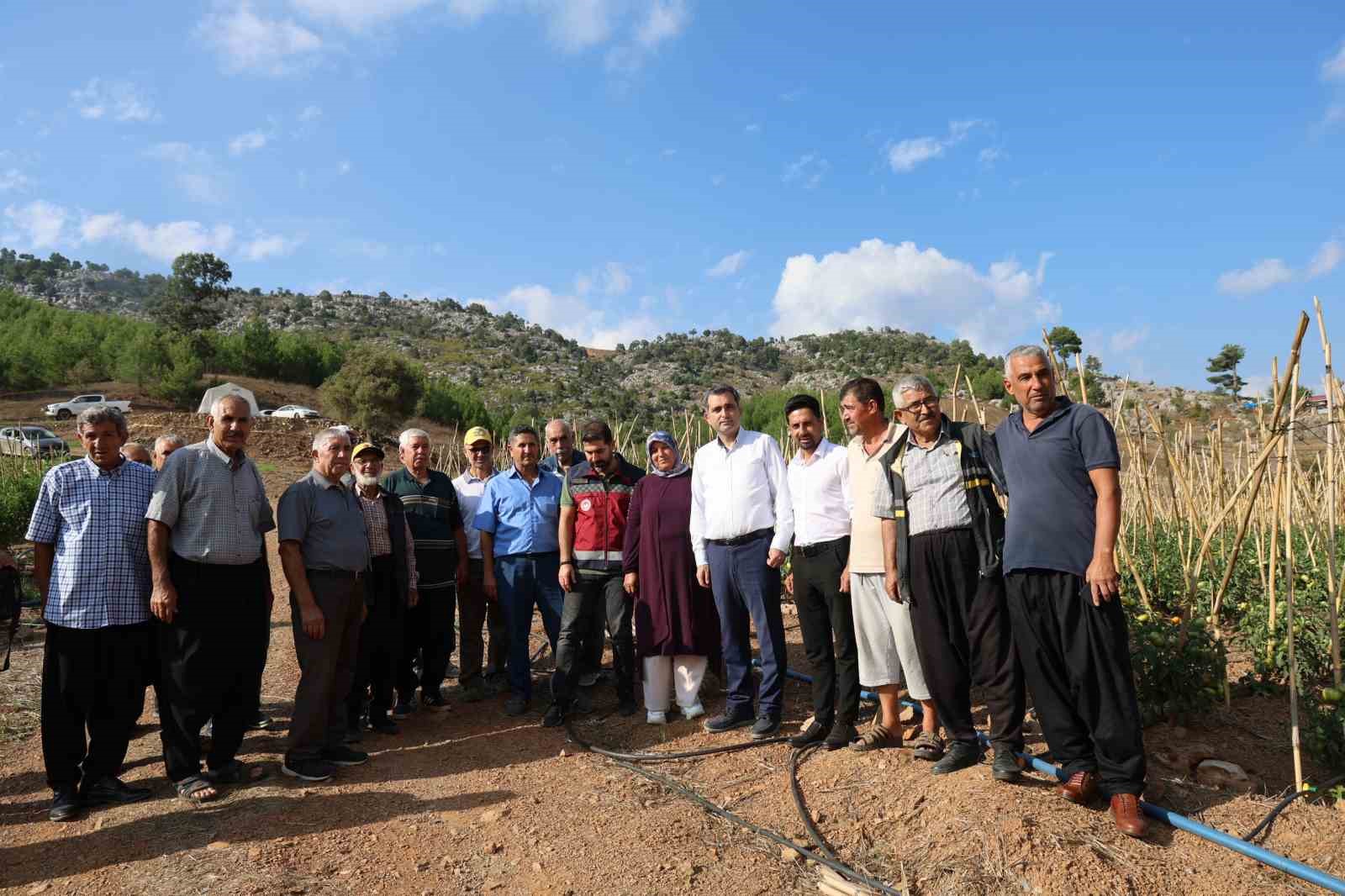 Muhtar dağlık ve susuz mahallede domates yetiştirdi
