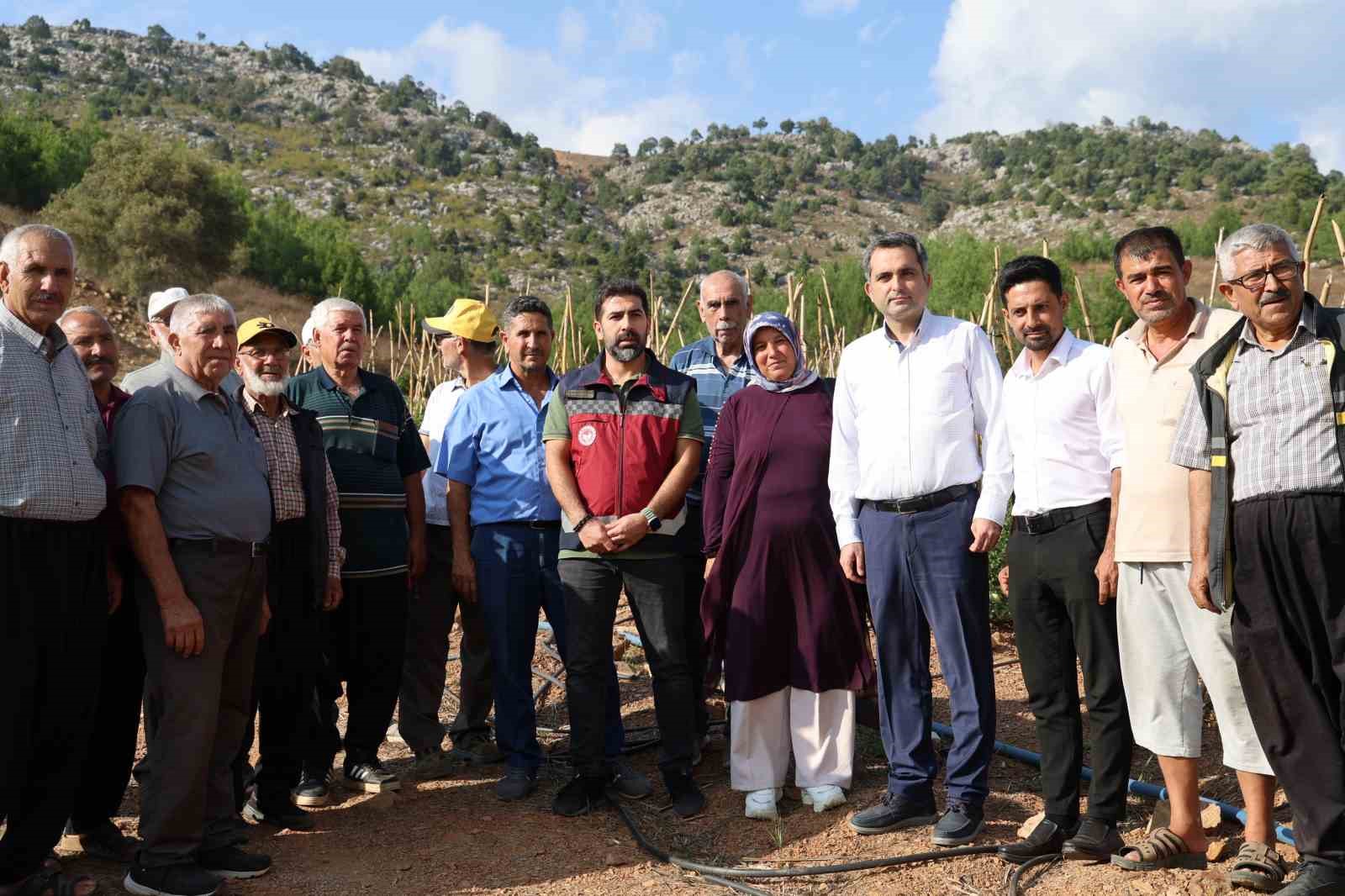 Muhtar dağlık ve susuz mahallede domates yetiştirdi
