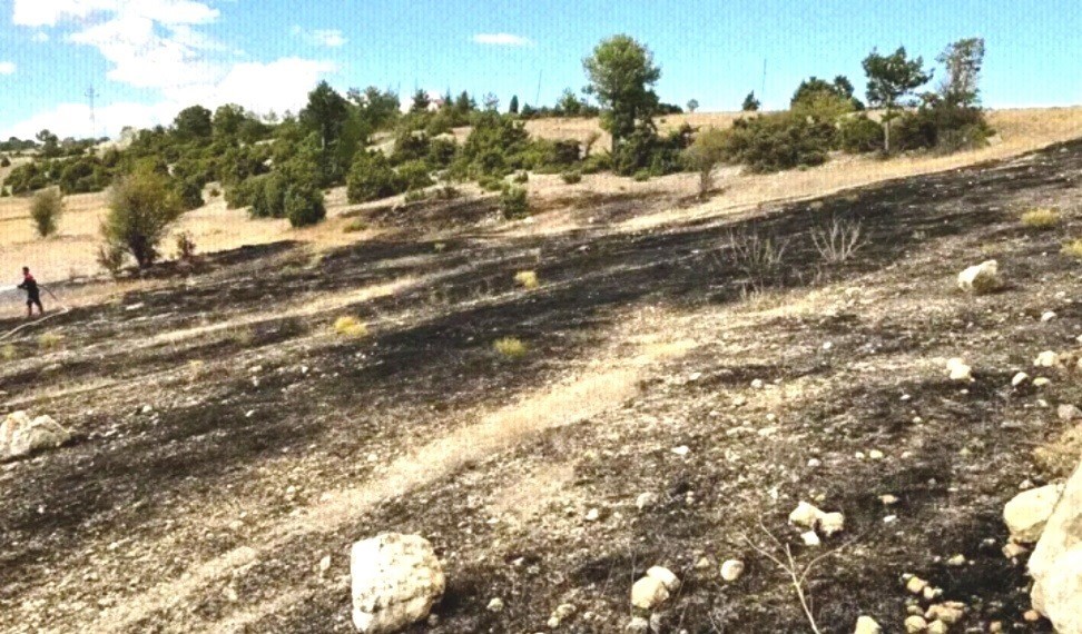 Emet’te yüksek gerilim hatlarına çarpan kuşlar arazi yangınına neden oldu
