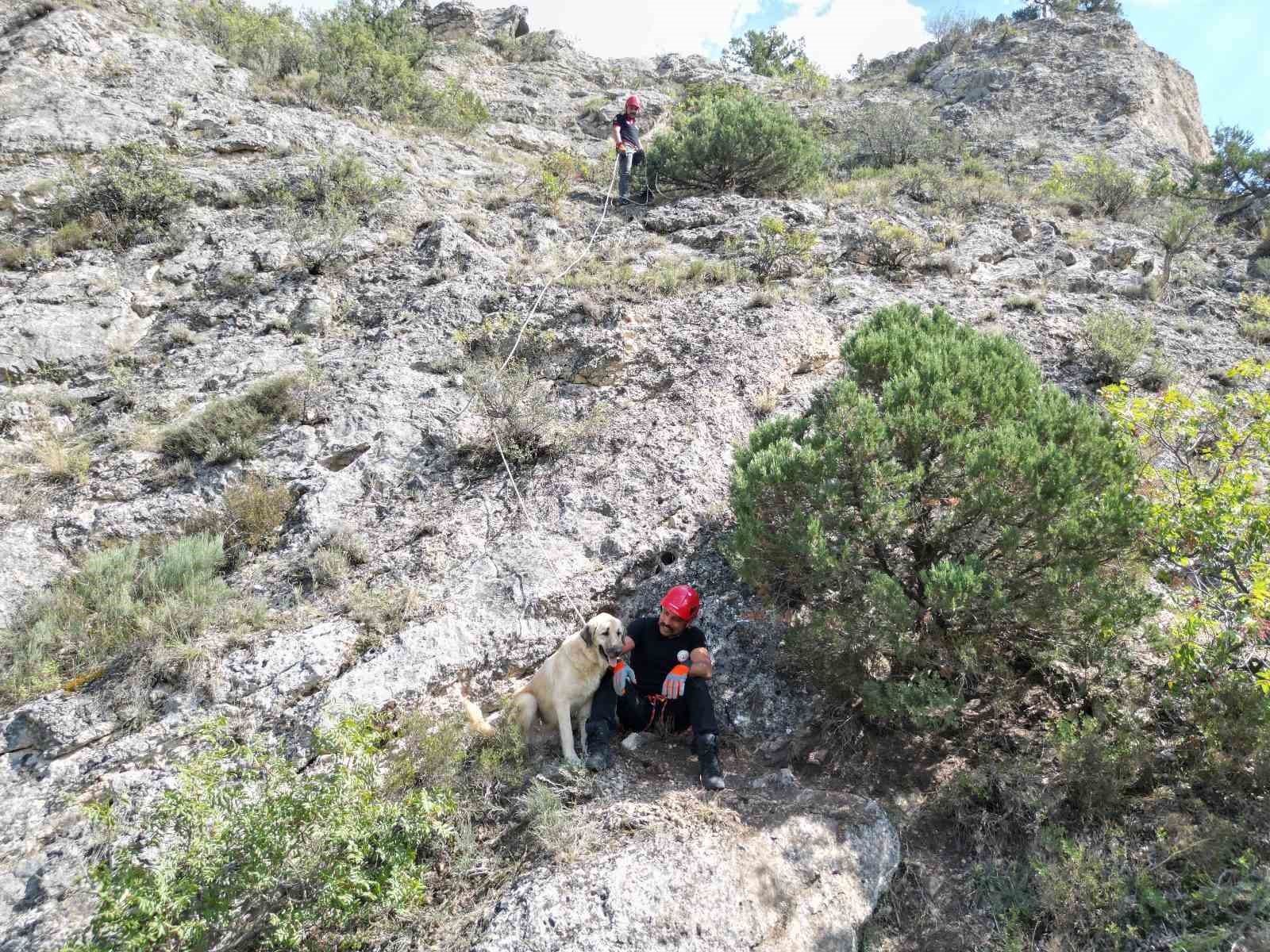 Kayalıkta mahsur kalan köpeği itfaiye ekibi kurtardı
