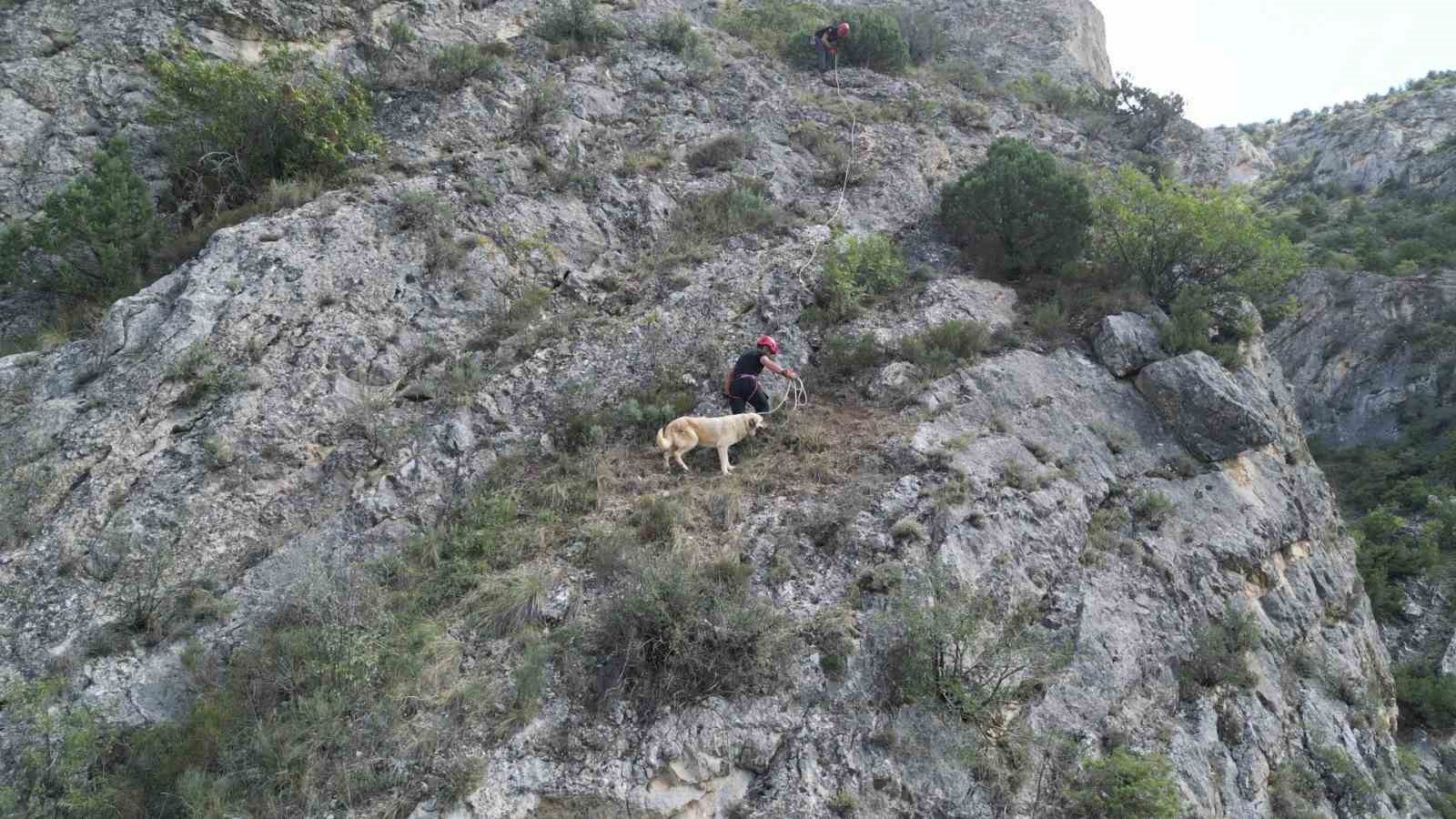 Kayalıkta mahsur kalan köpeği itfaiye ekibi kurtardı
