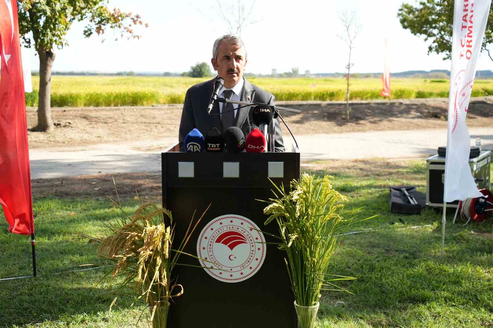 Edirne’de tarıma üç yeni pirinç çeşidi kazandırıldı
