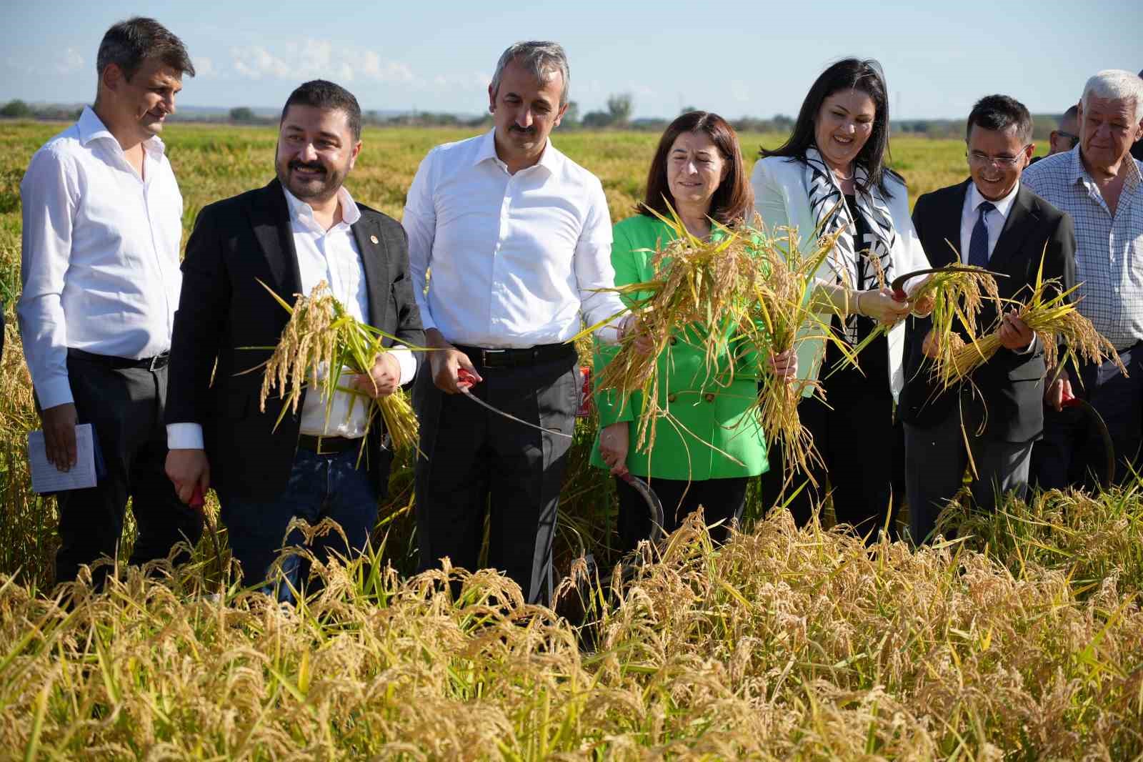 Edirne’de tarıma üç yeni pirinç çeşidi kazandırıldı
