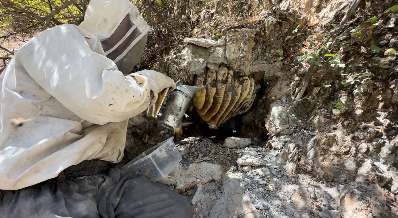 12 yıl önce Cilo Dağı’nda keşfettiği kaya balının kilosunu 3 bin TL’den satıyor
