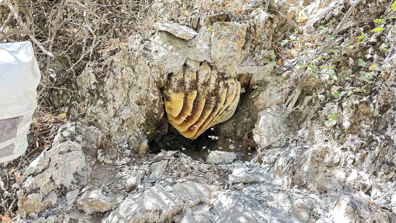 12 yıl önce Cilo Dağı’nda keşfettiği kaya balının kilosunu 3 bin TL’den satıyor
