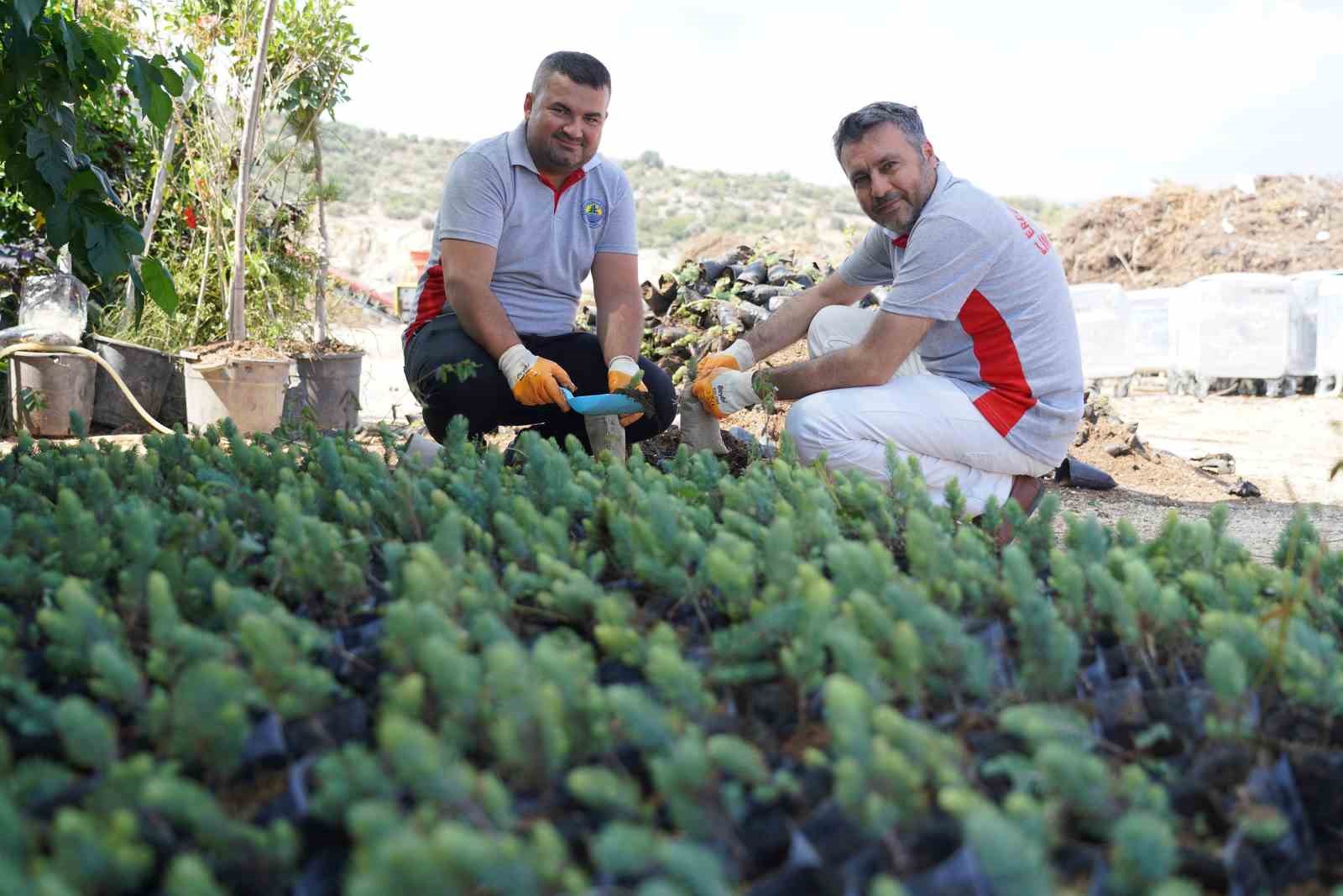 Bitkisel atıklar gübre oldu, üretilen 3 bin fidan öğrencilere hediye edildi
