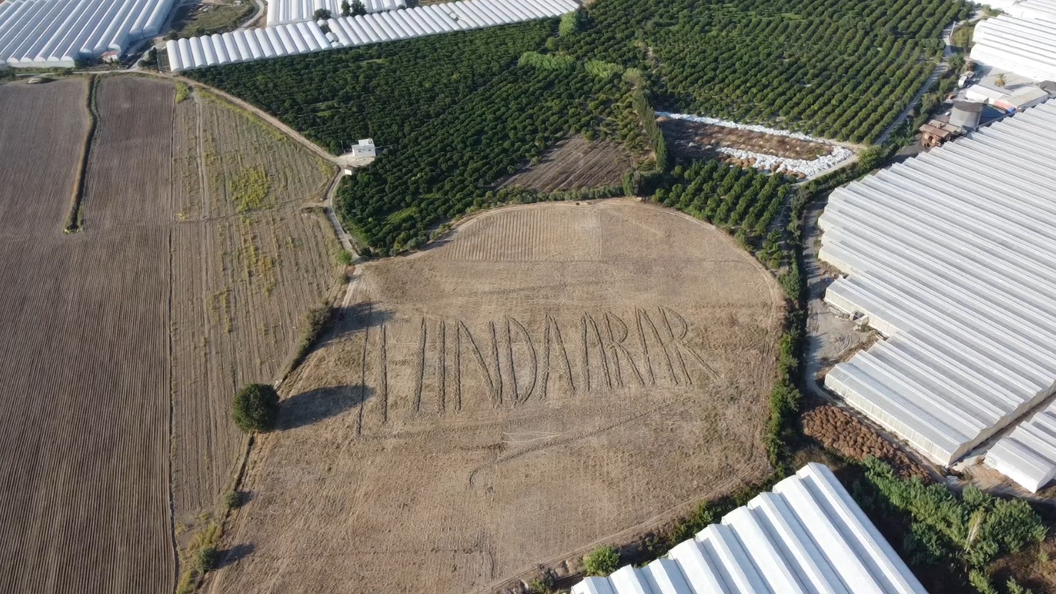 Funda Arar hayranlığı tarlaya traktörle isim yazdırdı
