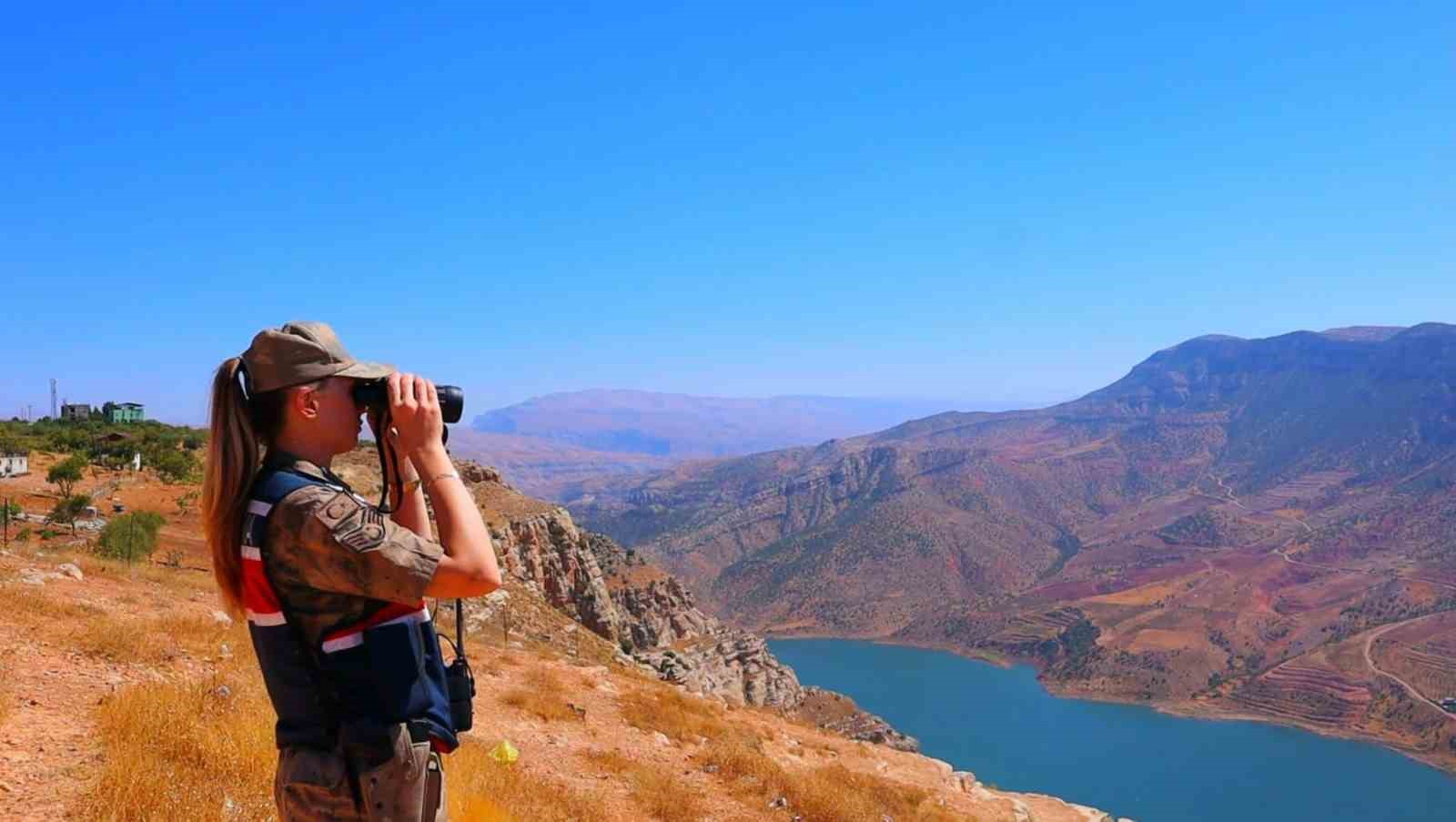 Siirt’te fıstık hırsızlığına karşı jandarmadan dronlarla koruma
