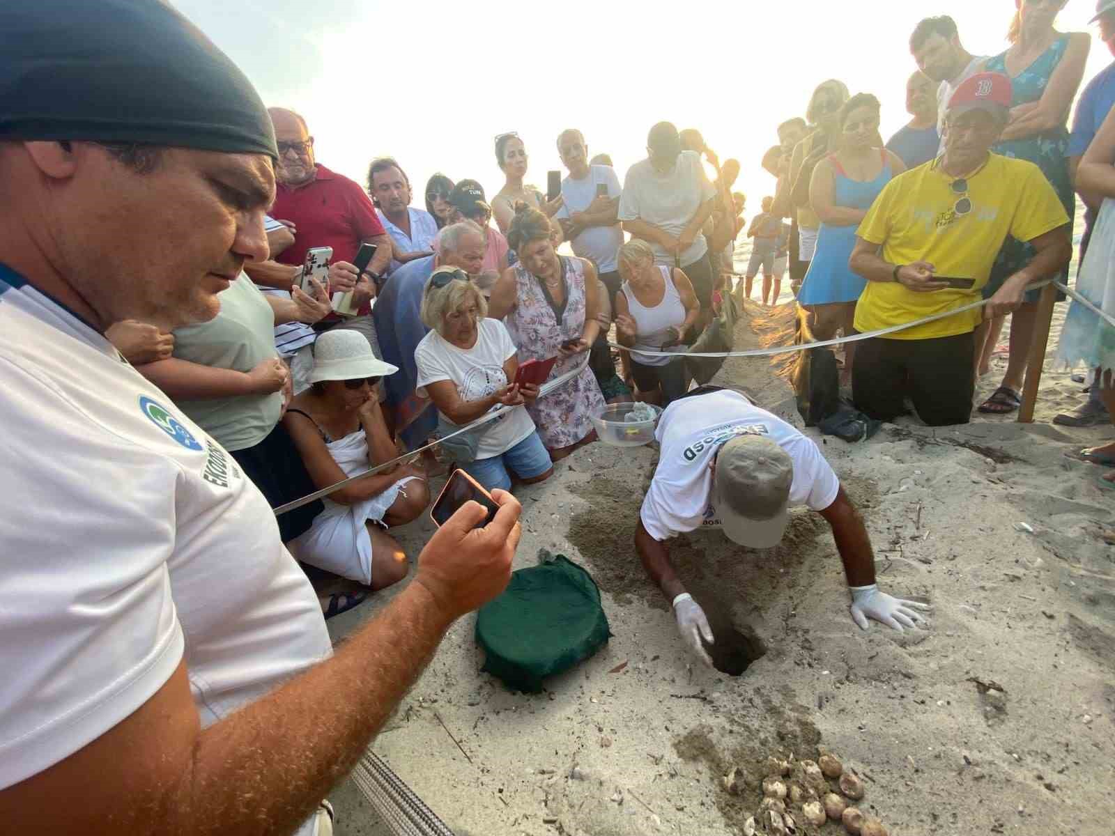 Kuşadası’nda yumurtadan çıkan son yavru caretta da özgürlüğe kulaç attı
