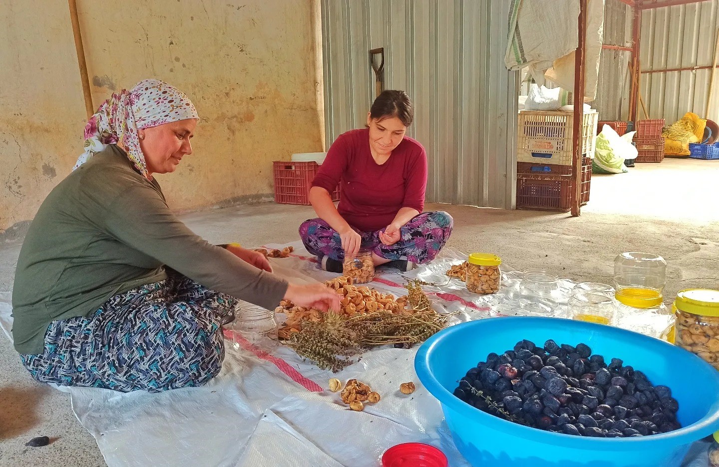 İncirköy Mahallesi’nde hasat dönemi sona erdi
