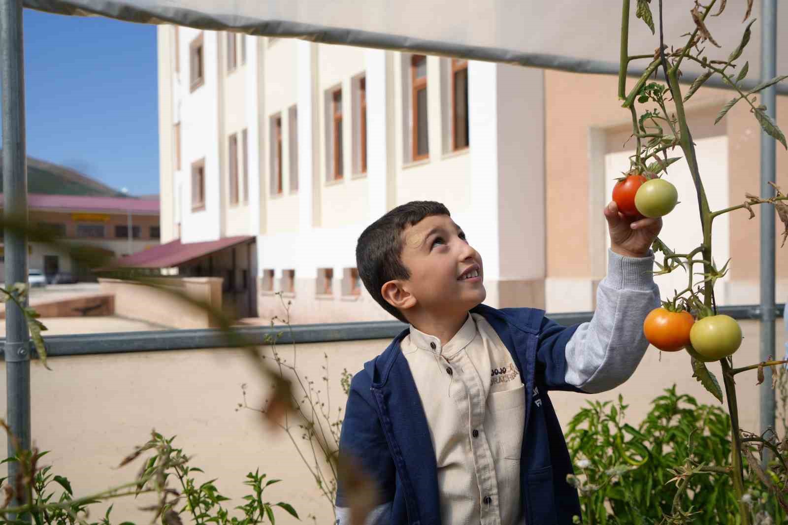 ‘Hem Eğitim hem Üretim’ sloganıyla kurulan serada özel çocuklar toprakla buluşturdukları sebzelerin hasadını yaptılar
