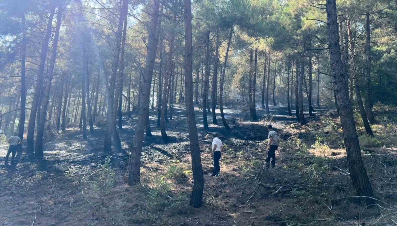 OMÜ Rektörü Ünal’dan ’yangın’ açıklaması: 