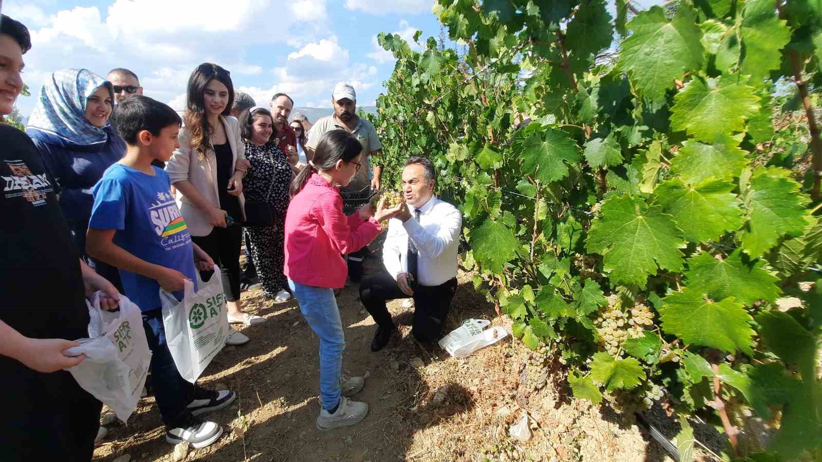 Özel bireyler bağ bozumuyla üzüm topladı
