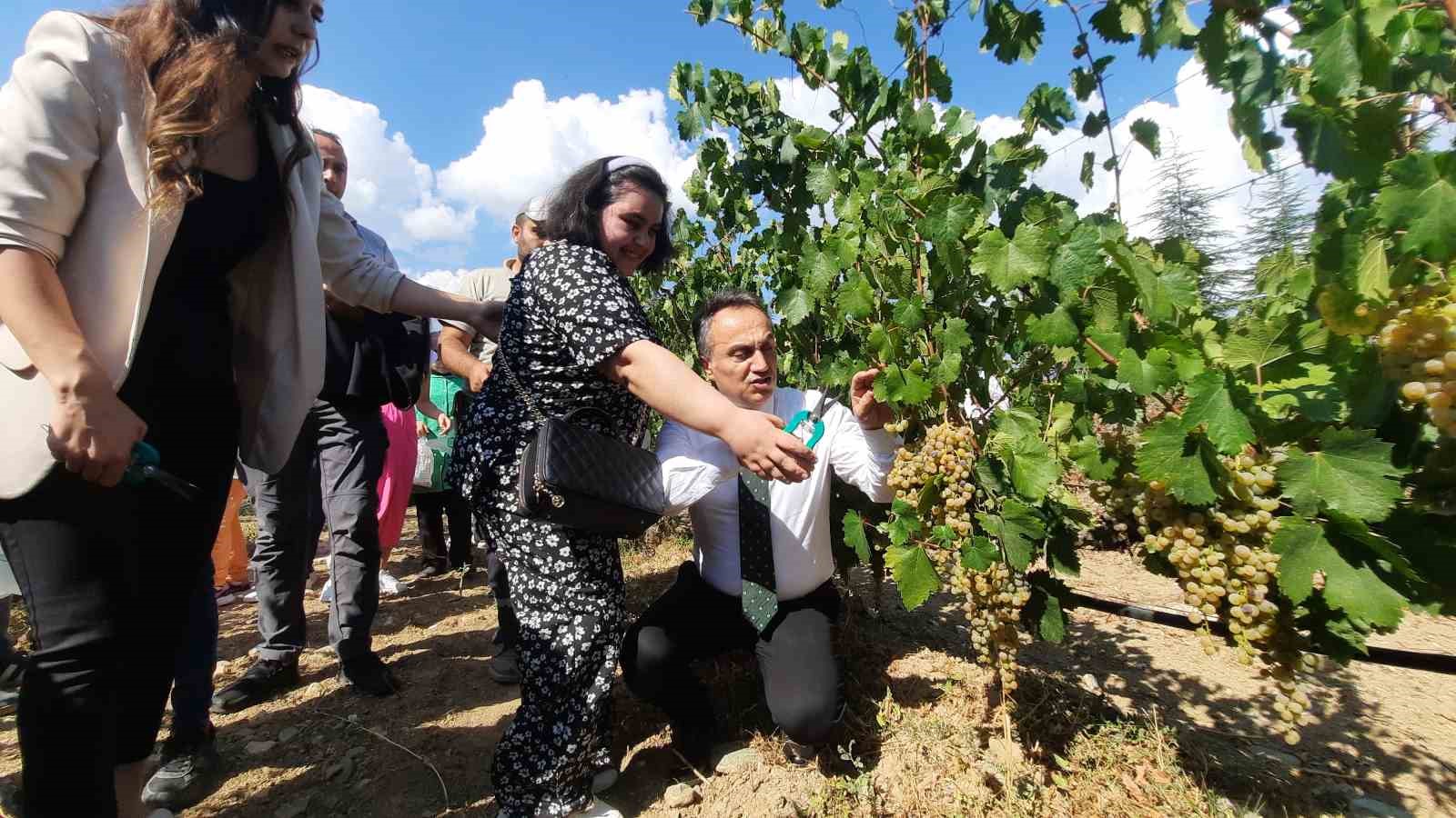 Özel bireyler bağ bozumuyla üzüm topladı
