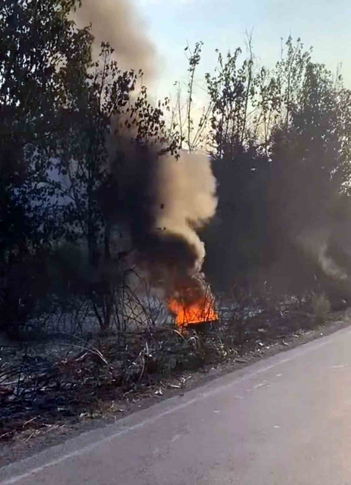 D-100’de ağaçlık alanda çıkan yangın itfaiye ekiplerince söndürüldü
