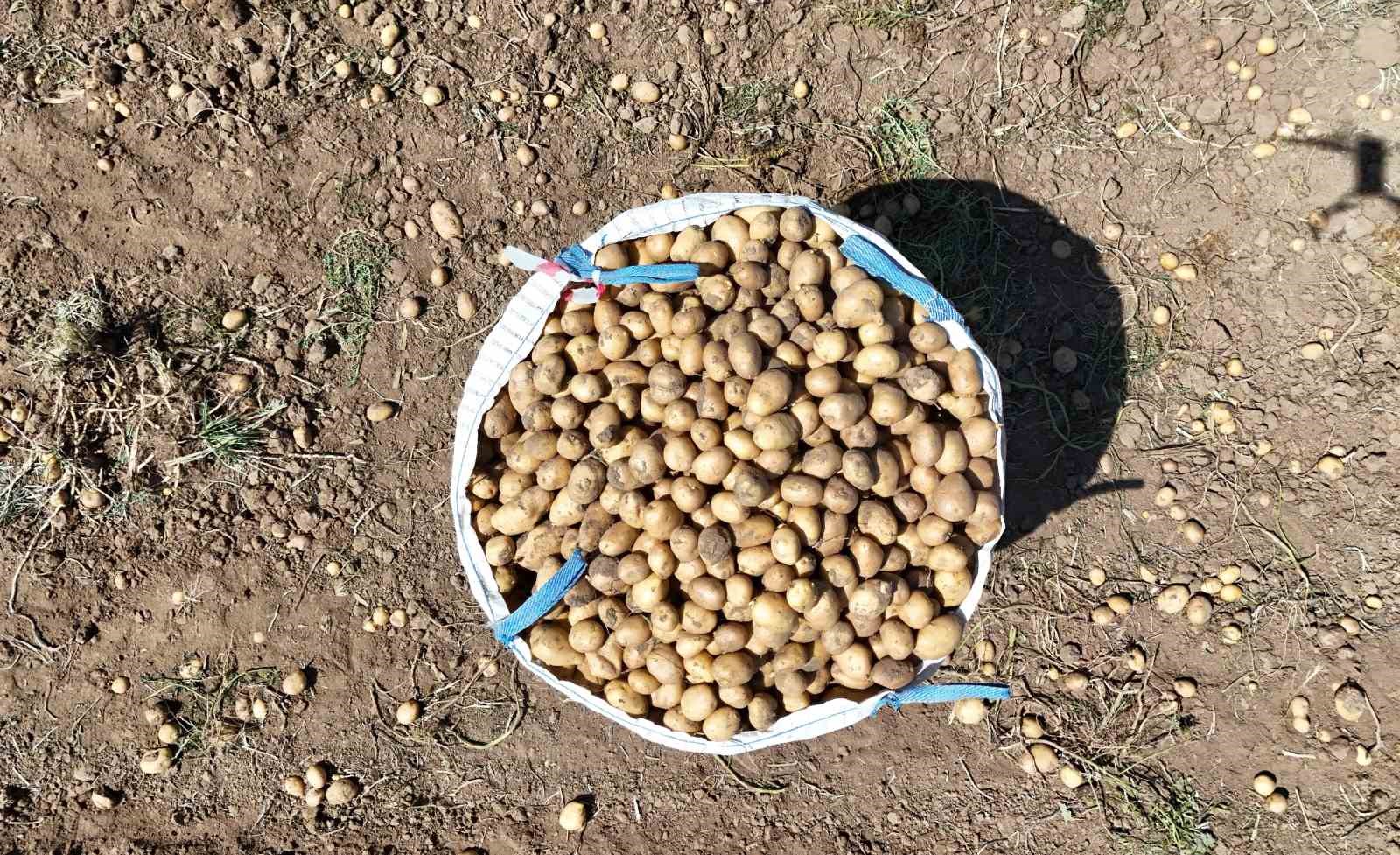 Hasat dönemi başladı: Çiftçiler, bin liranın üzerinde yevmiyeyle çalıştıracak işçi bulamakta zorlanıyor
