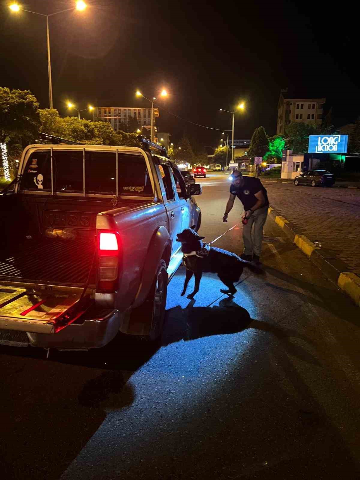 Artvin’de Narkotik köpeği Ivan gece mesaisinde
