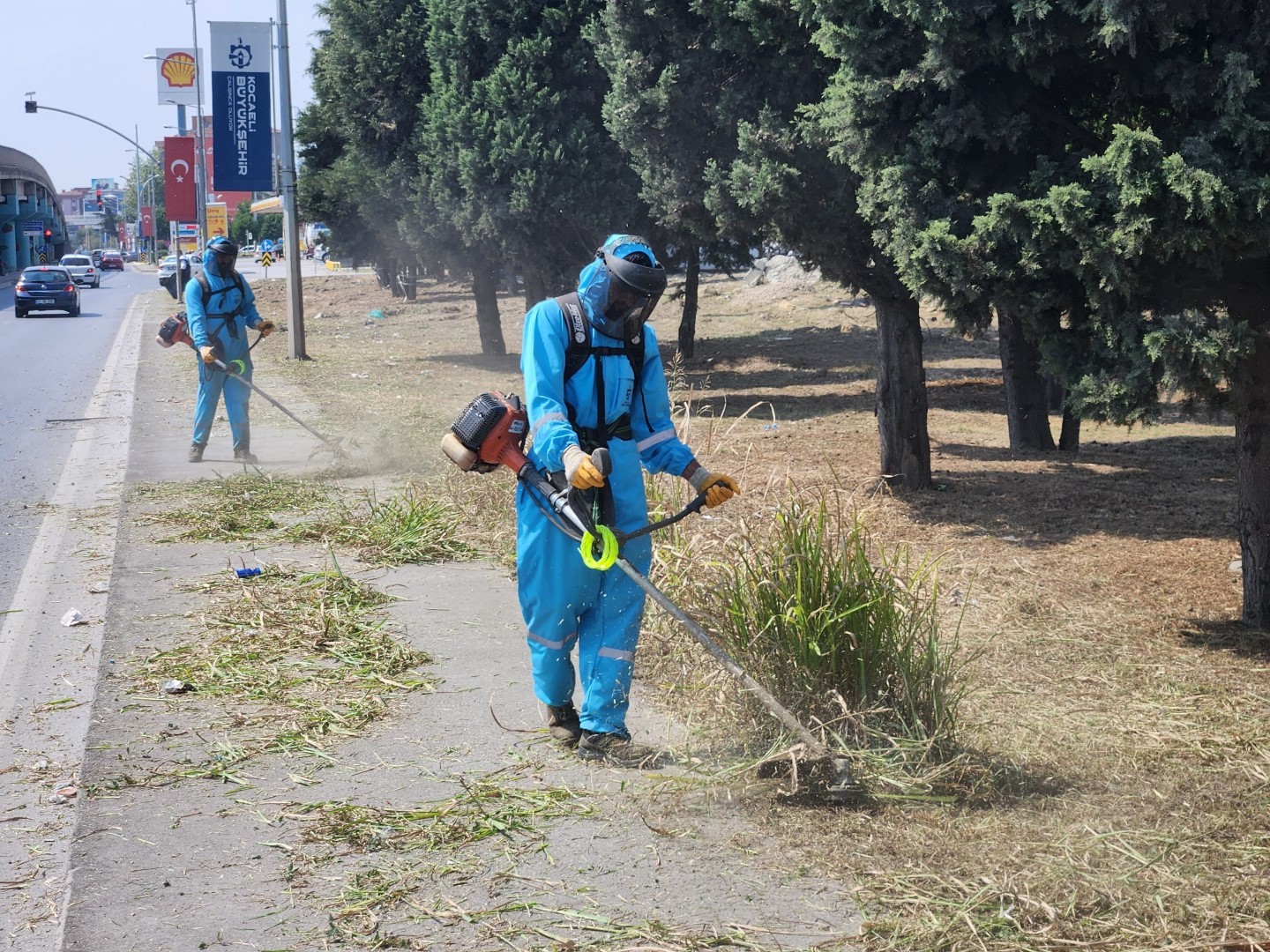 Park ve bahçelerde sonbahar temizliği
