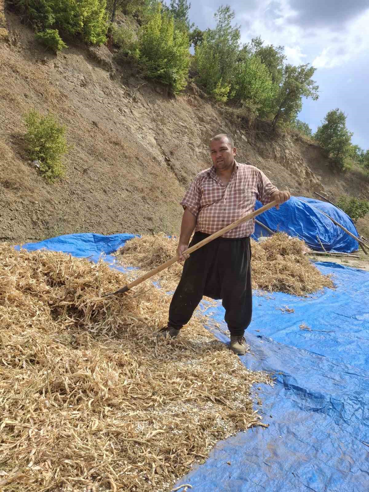 Lezzeti tescilli Tufanbeyli fasulyesi ilçe sınırlarını aştı
