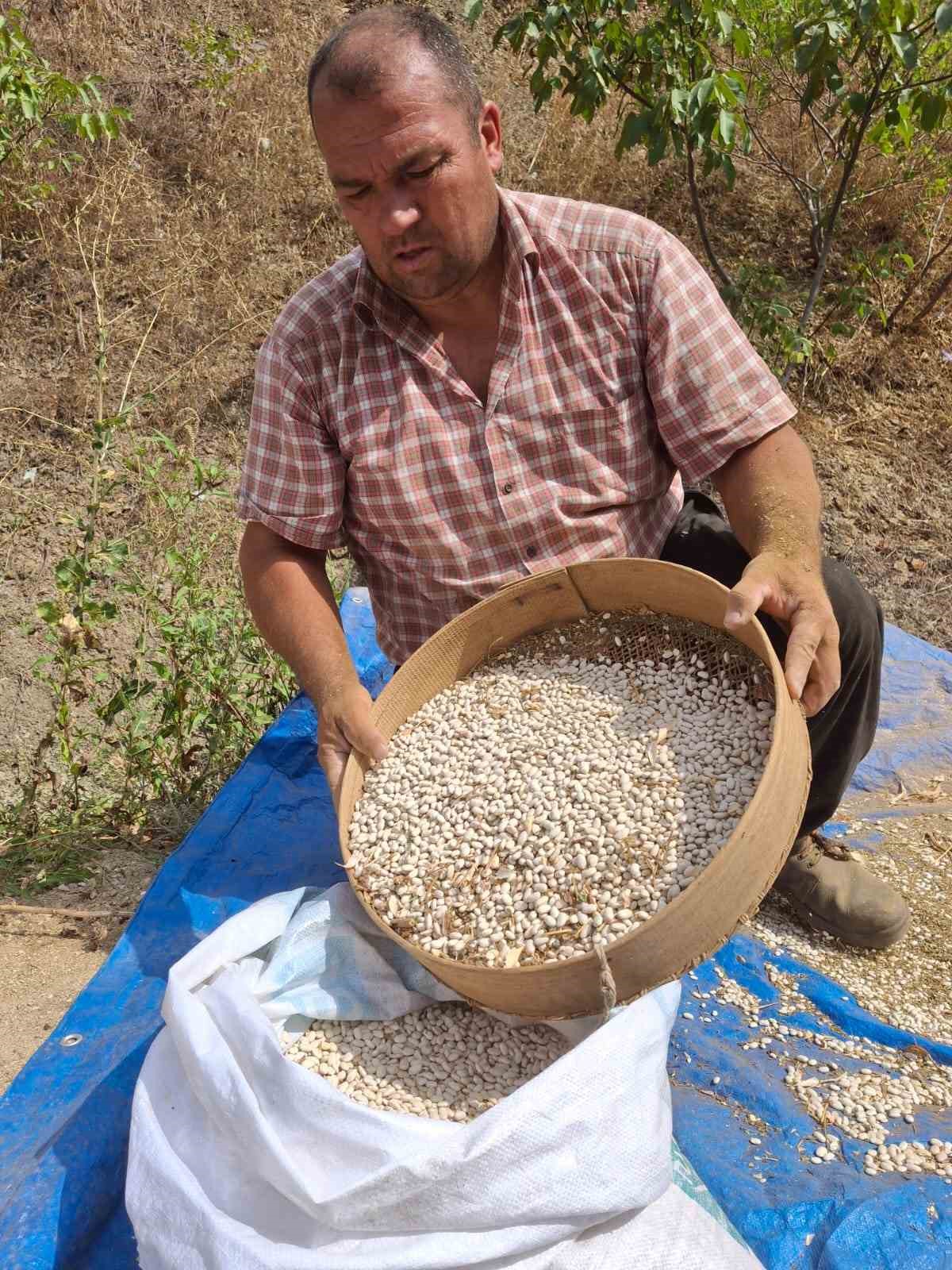 Lezzeti tescilli Tufanbeyli fasulyesi ilçe sınırlarını aştı
