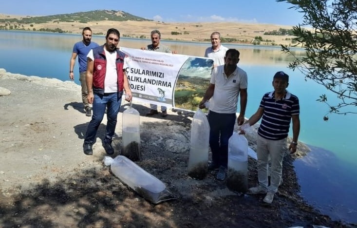 Tunceli’de 1 milyon 670 bin yavru sazan salındı
