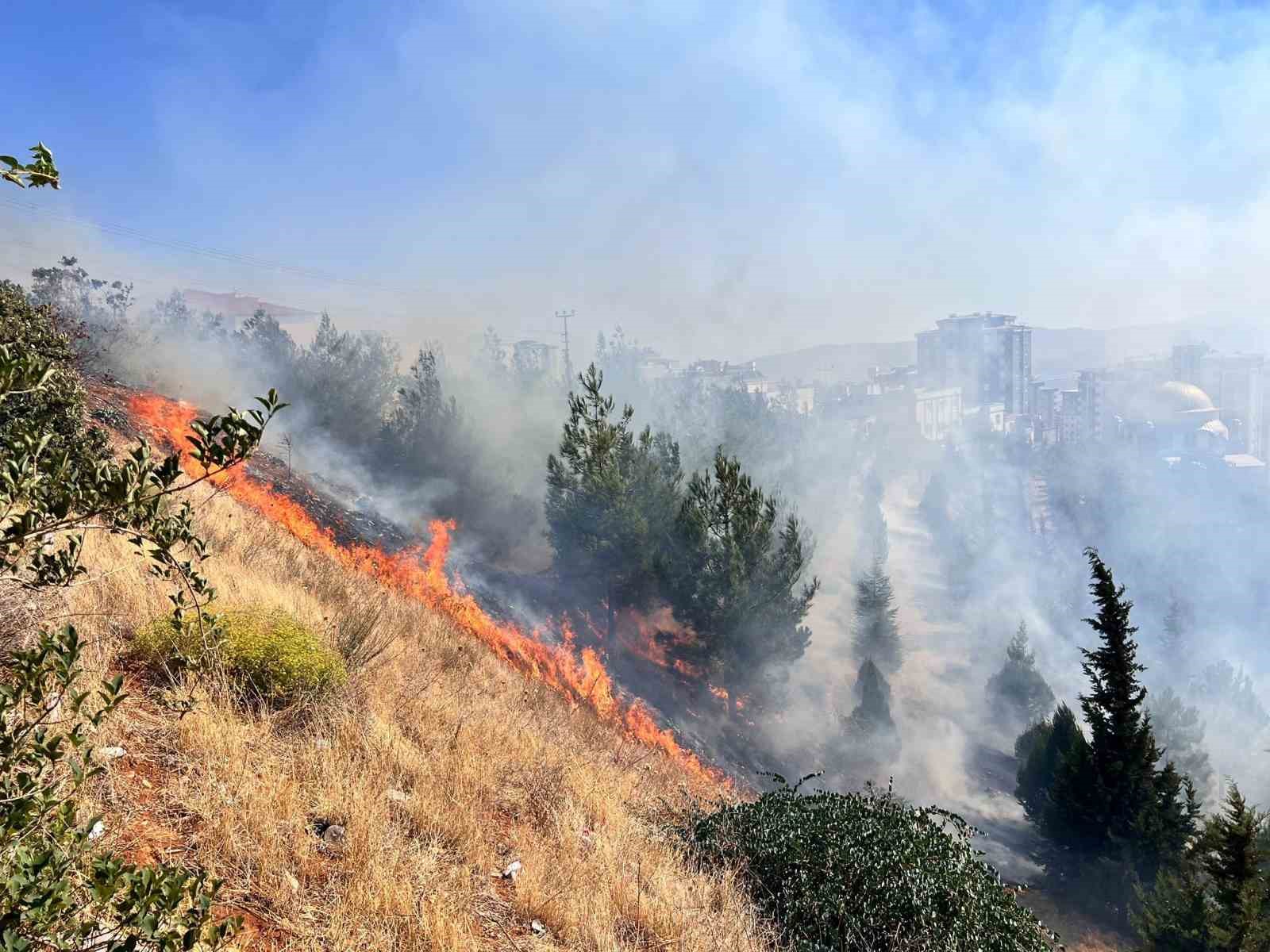 Kahramanmaraş’ta Şehitler Koruluğu’nda çıkan yangın söndürüldü
