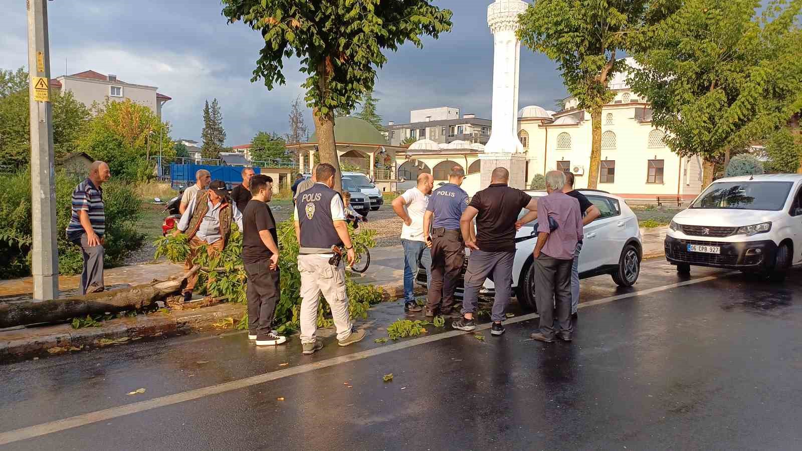 Yeni aldığı aracının üzerine ağaç devrildi
